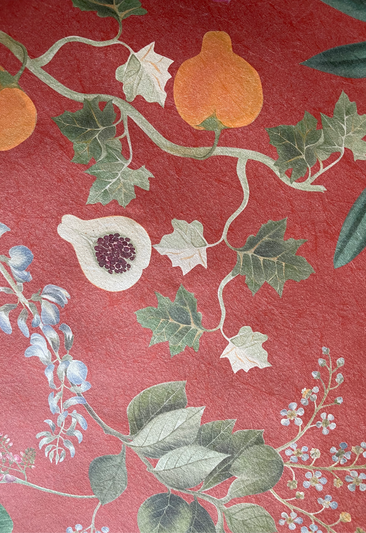 Deus ex Gardenia Eden Wallpaper in Marigold of orange fruit with leaves on a red background.