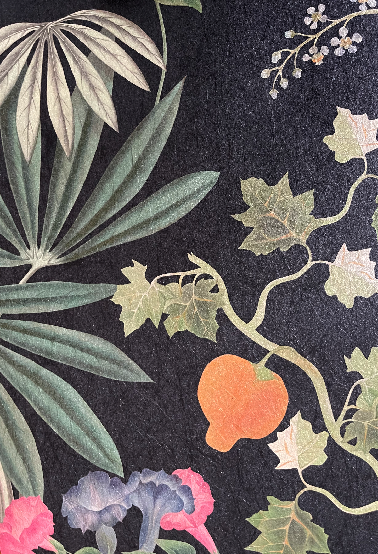 Dark botanical florals and fruit by Deus ex Gardenia of Eden Wallpaper in Night.