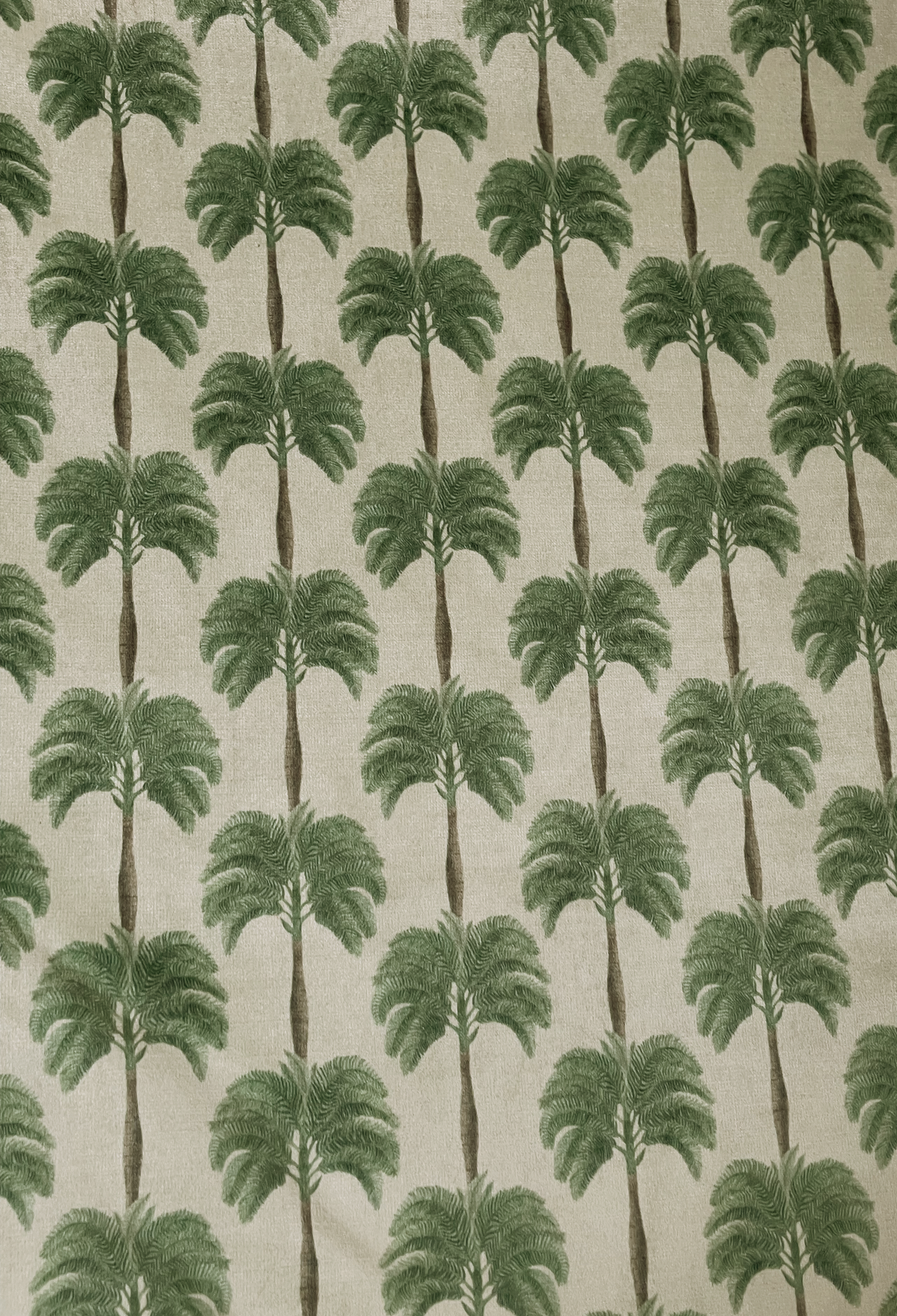 Little Palma Velvet Fabric - Sand
