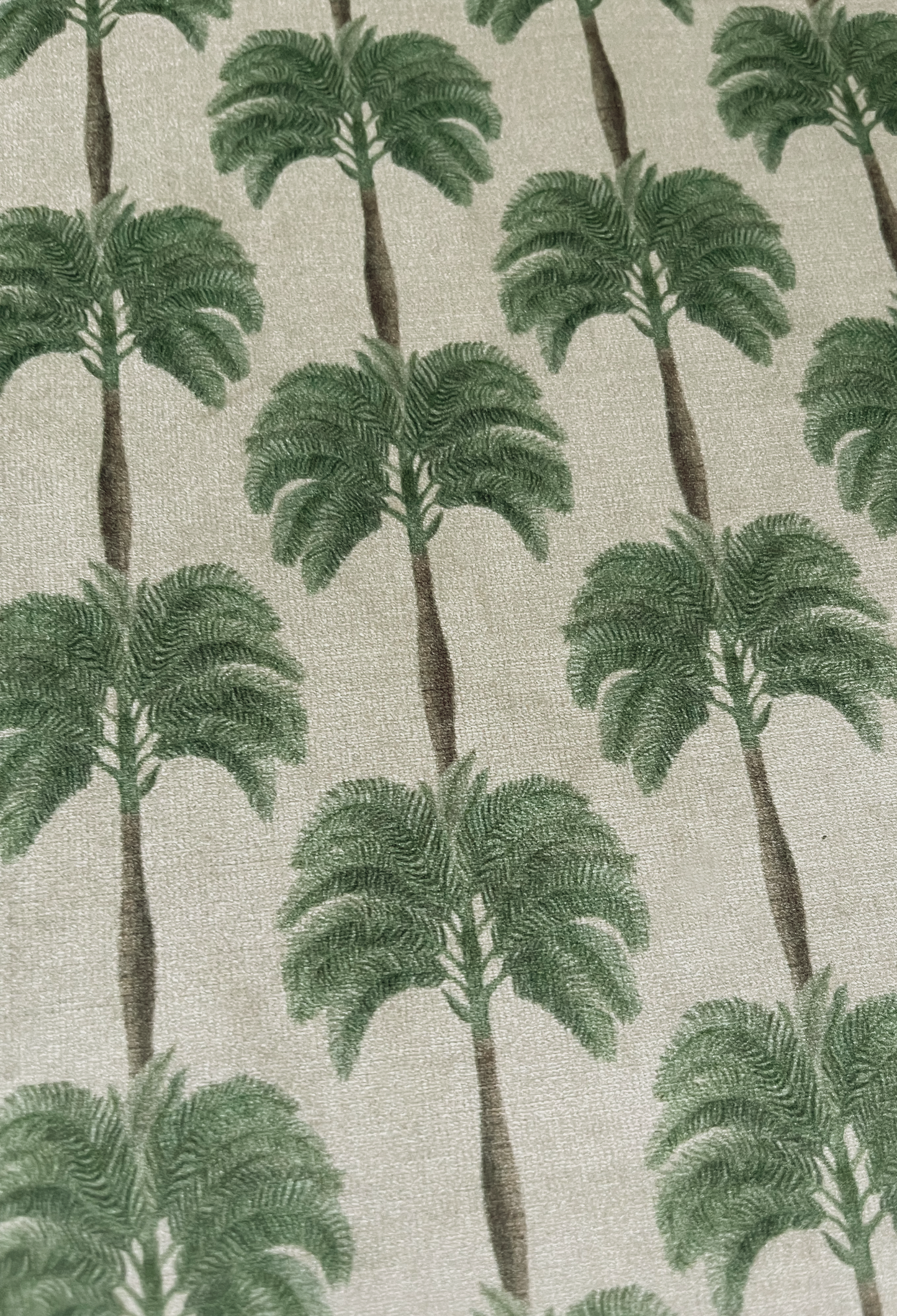Little Palma Velvet Fabric - Sand