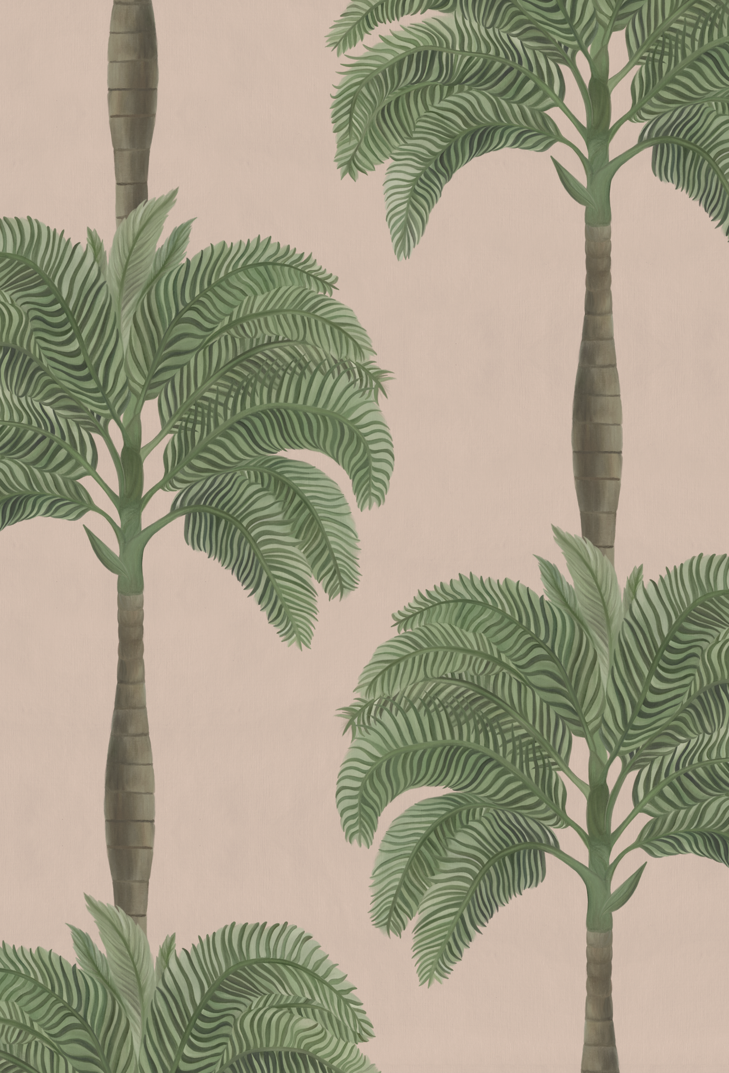 Large botanical painted palm tree on pink ground wallpaper of Palma in Flamingo by Deus ex Gardenia.
