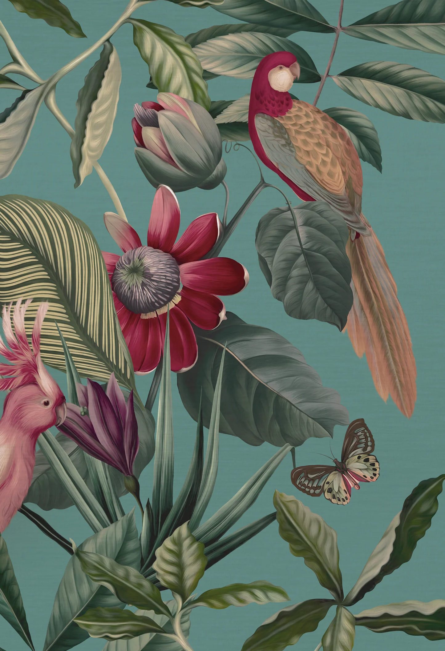 Passion fruit flower with parrot, cockatoo and butterfly surrounded by a canopy on a blue background wallpaper from Deus Ex Gardenia in Passiflora's Vardo in Superwide.