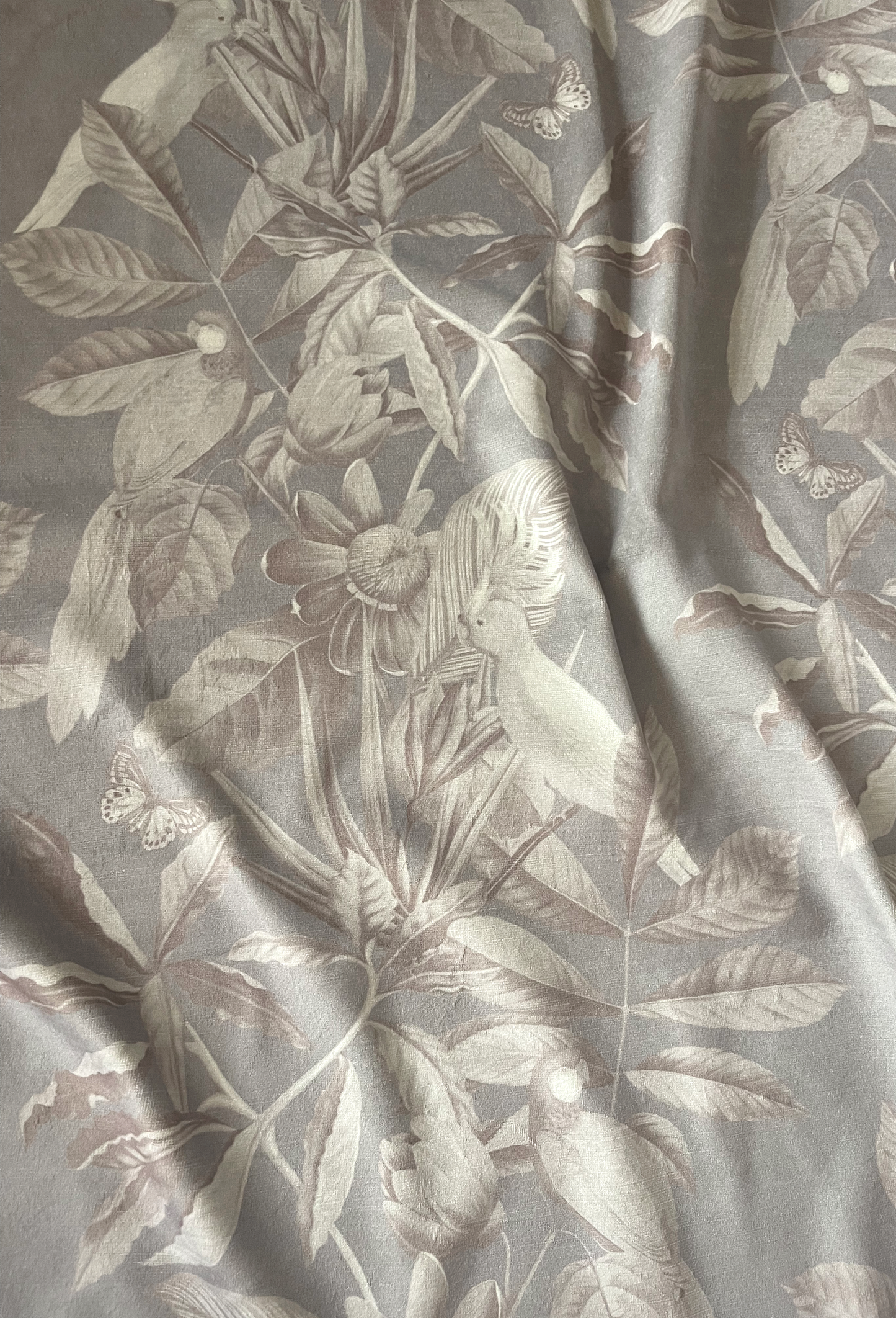 Passiflora Velvet Fabric - Ammonite