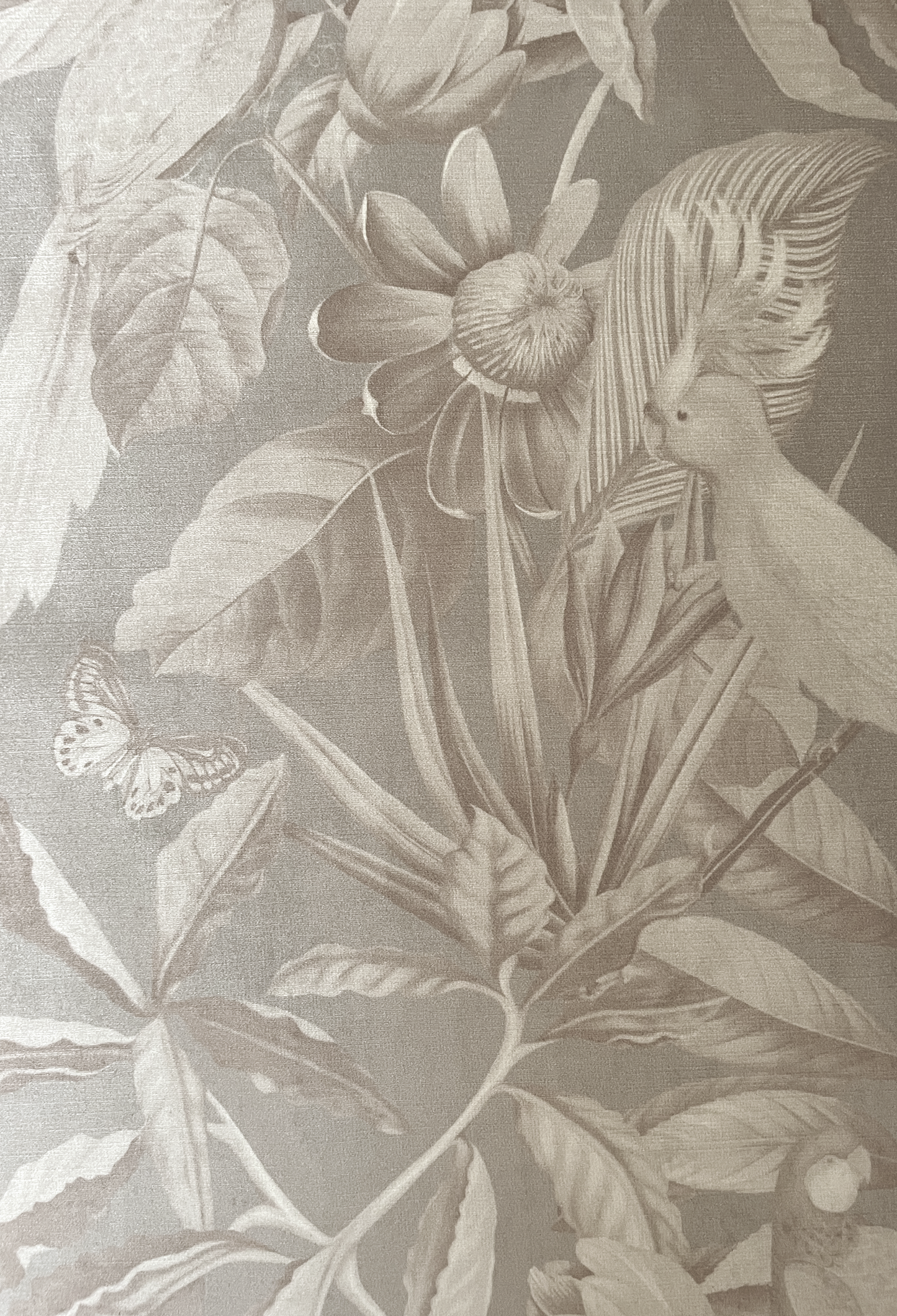 Passiflora Velvet Fabric - Ammonite