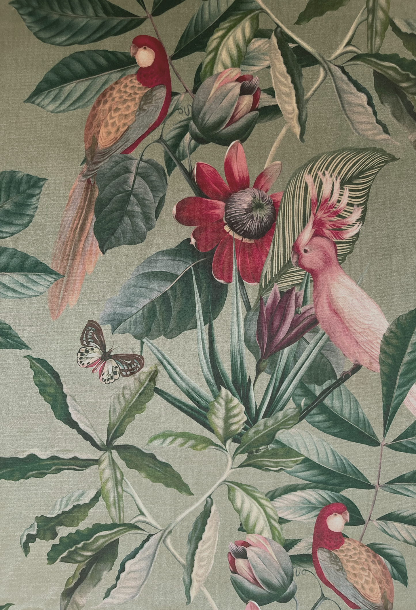 Passiflora Velvet Fabric - Sage