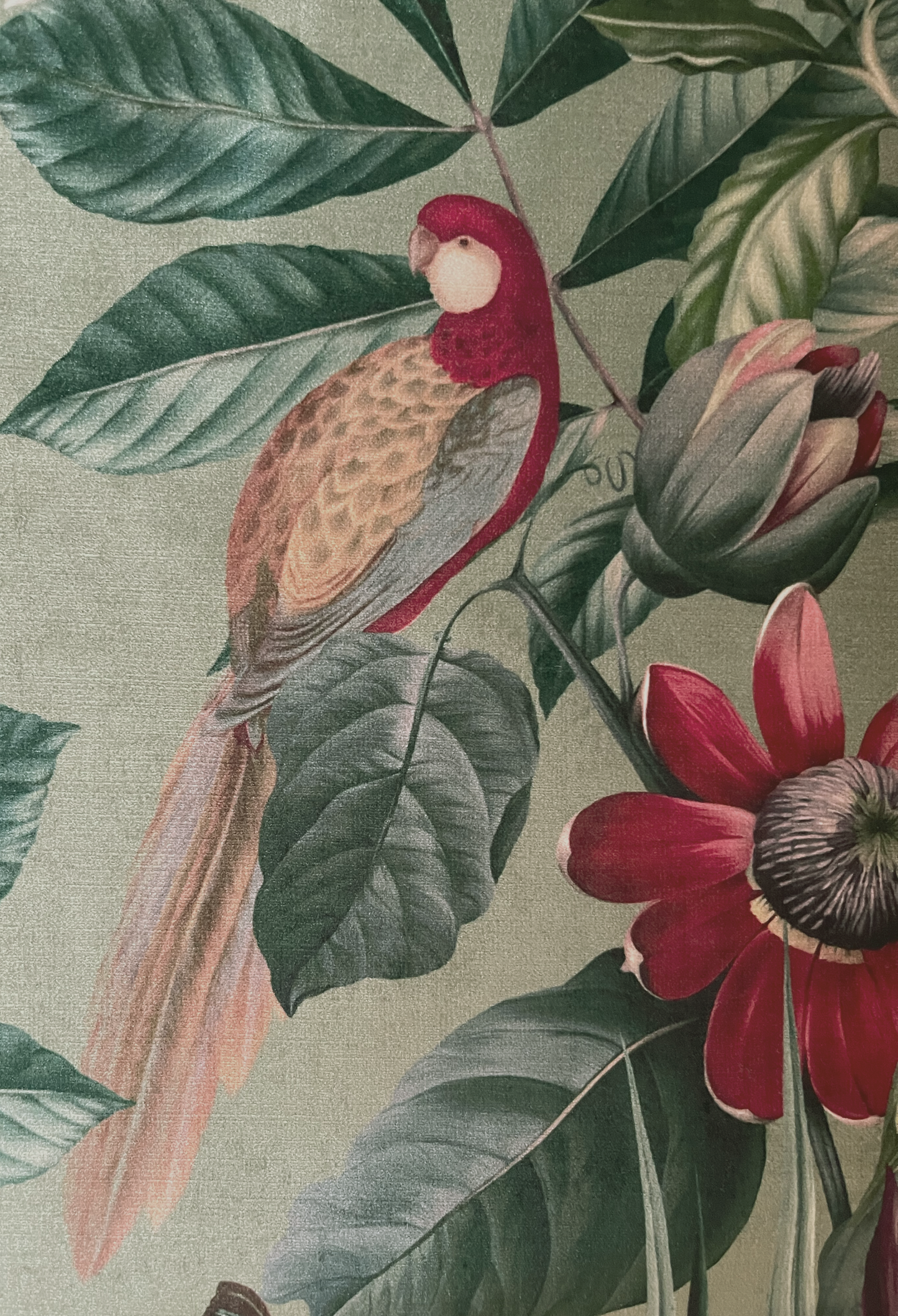 Passiflora Velvet Fabric - Sage