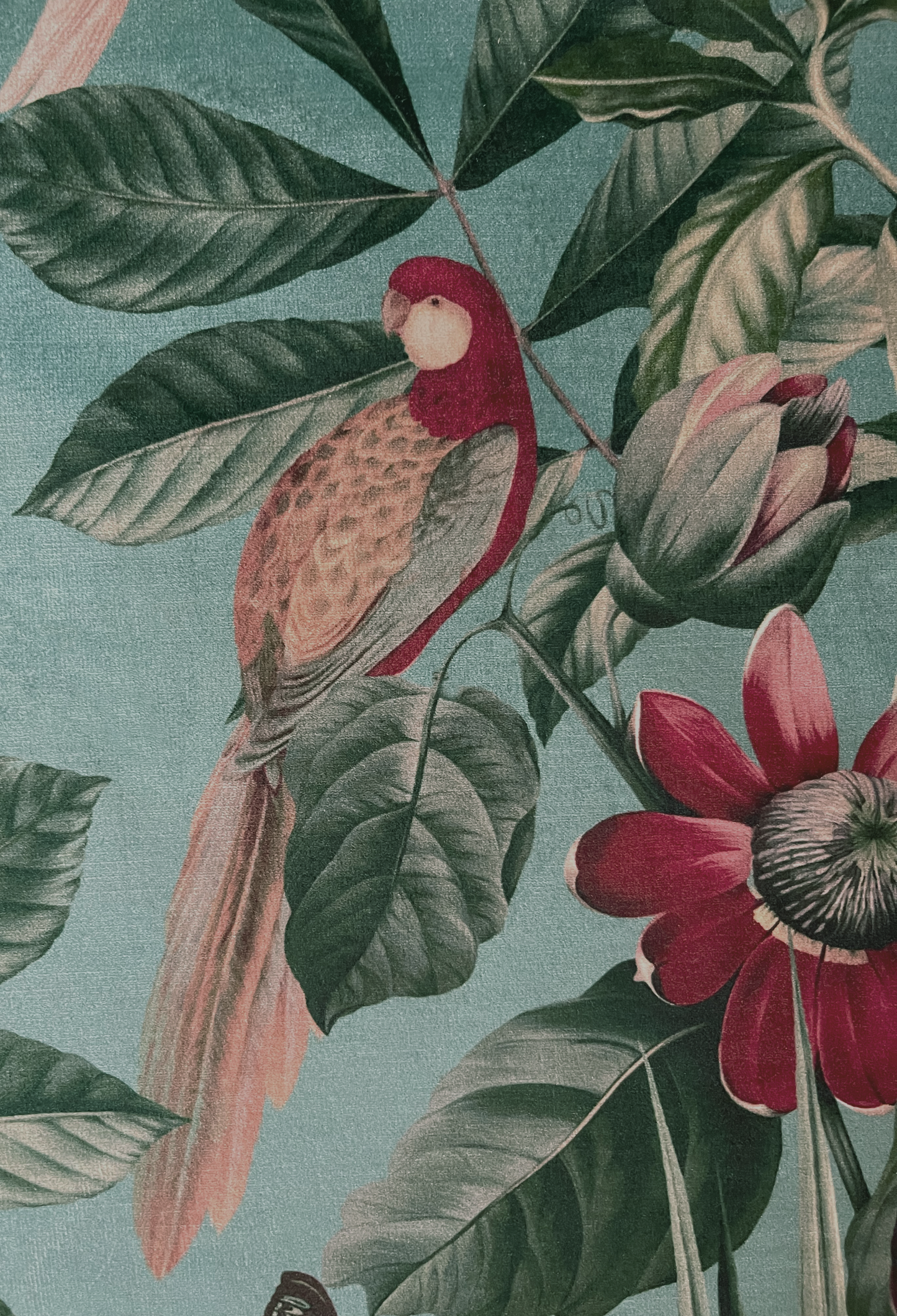 Passiflora Velvet Fabric - Vardo