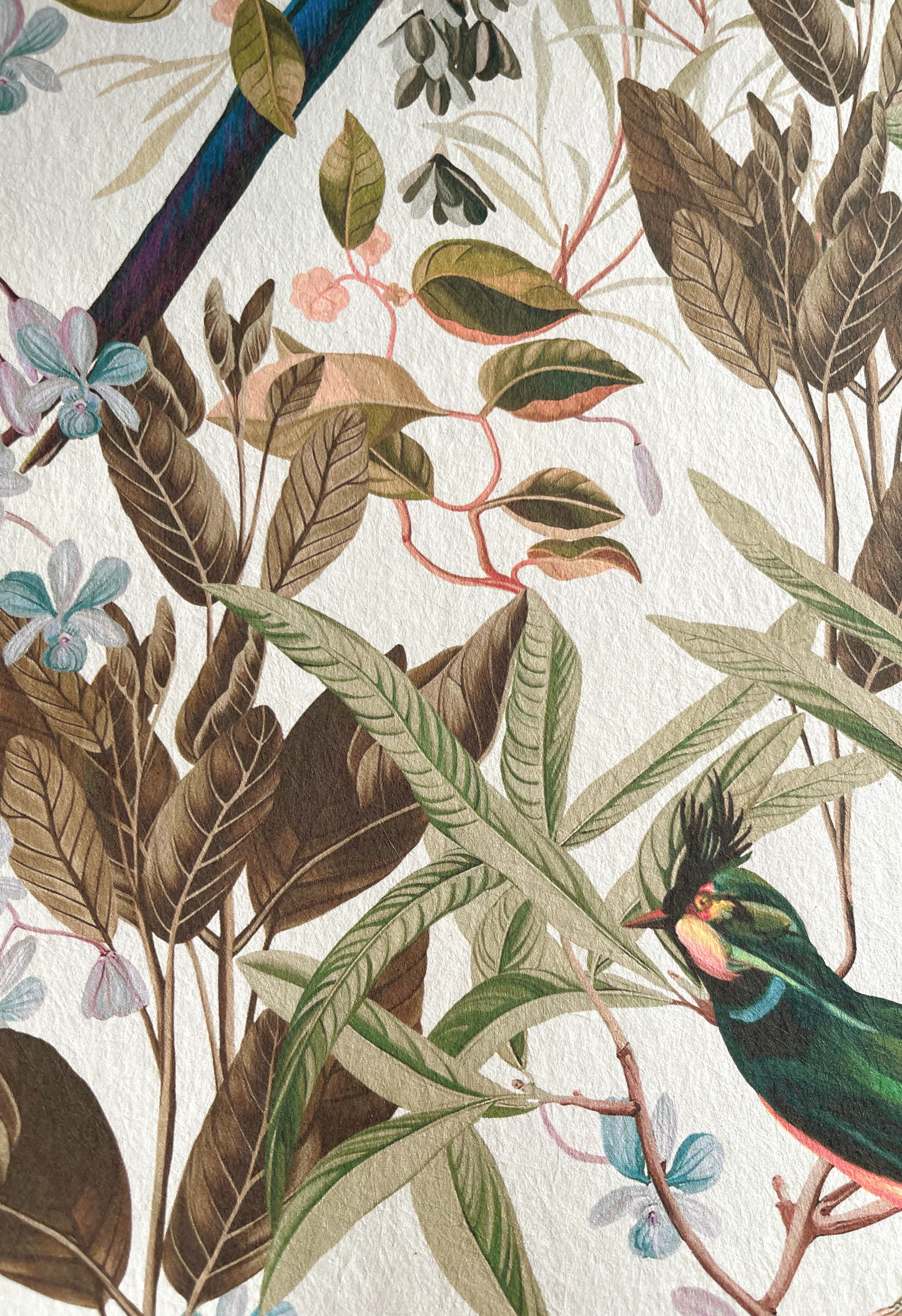 Close up of textured illustration of a birds surrounded by leaves and flowers by Deus ex Gardenia of Resplendent Woods Wallpaper in Shaded White.