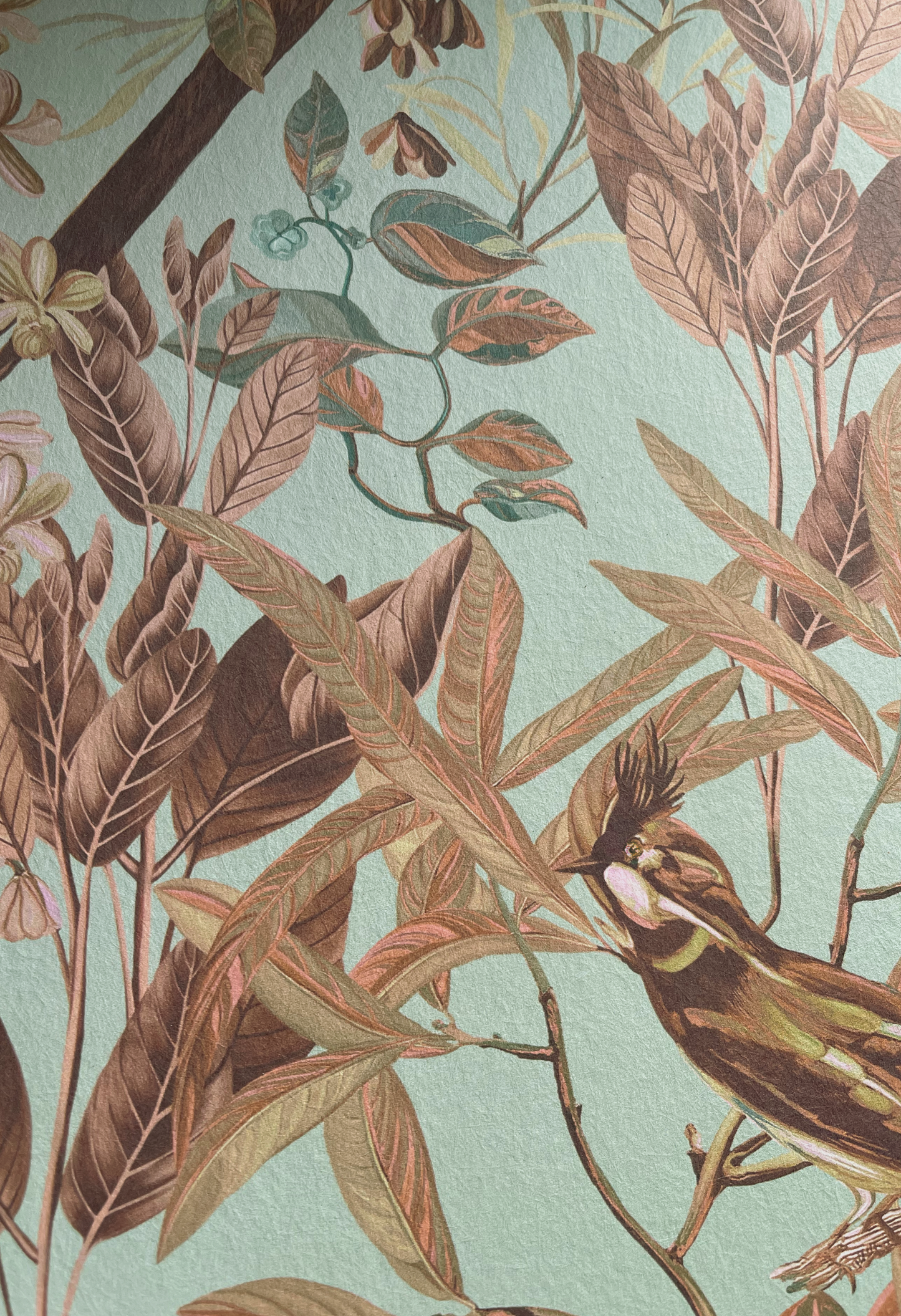 Close up a bird surrounded by painterly botanical leaves by Deus ex Gardenia of Resplendent Woods Wallpaper in Teal.