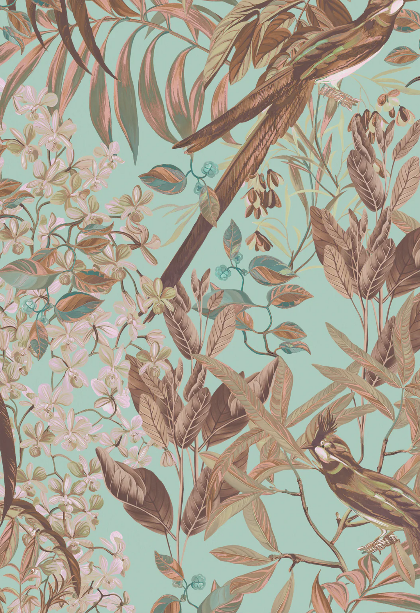 Tropical detailed birds painted with leaves palms and orchids from Deus ex Gardenia of Resplendent Woods Wallpaper in Teal.