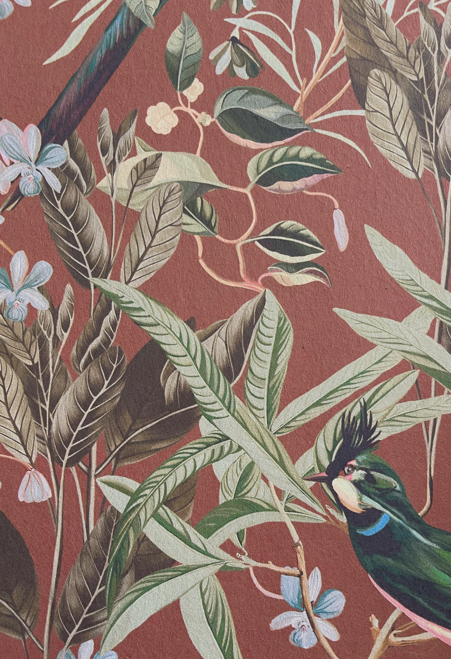 Resplendent Woods Wallpaper - Terracotta