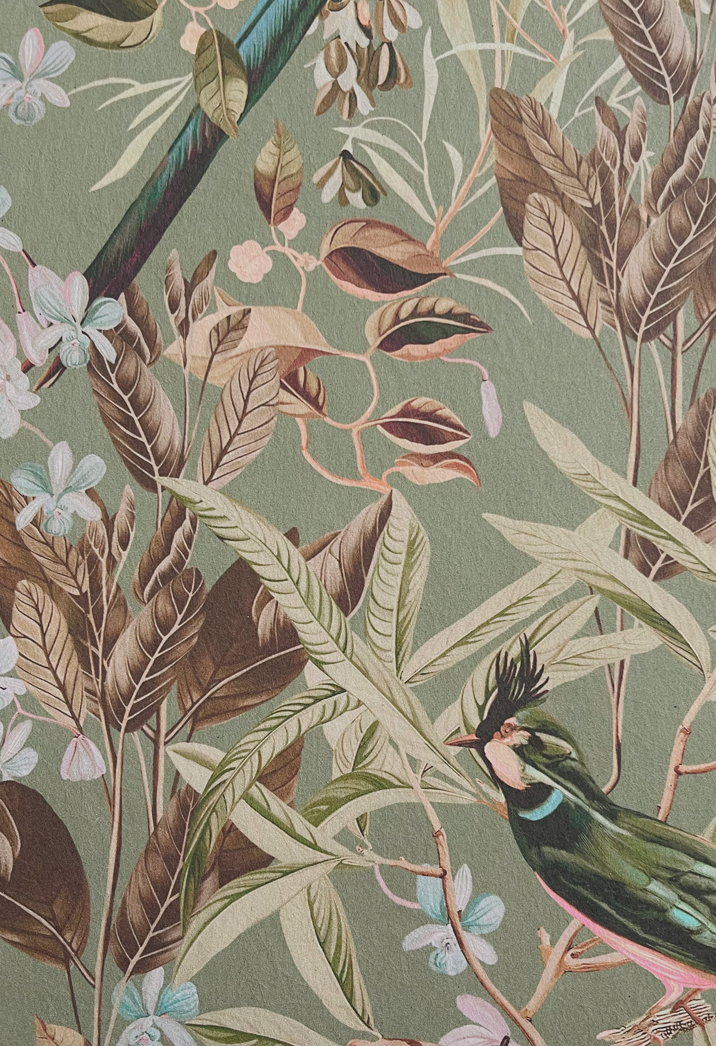 Resplendent Woods Wallpaper - Willow