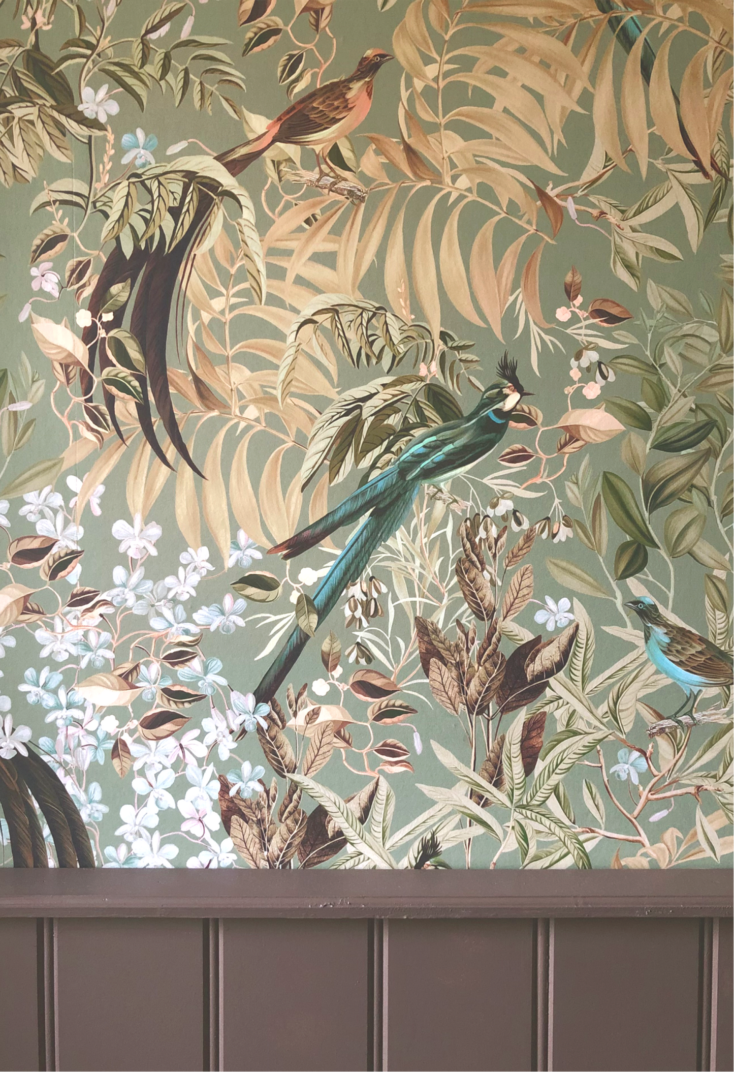 Botanical design of birds and flowers in a forest of leaves in a room with wooden painted panelling by Deus ex Gardenia of Resplendent Woods Wallpaper in 'Willow' light green.