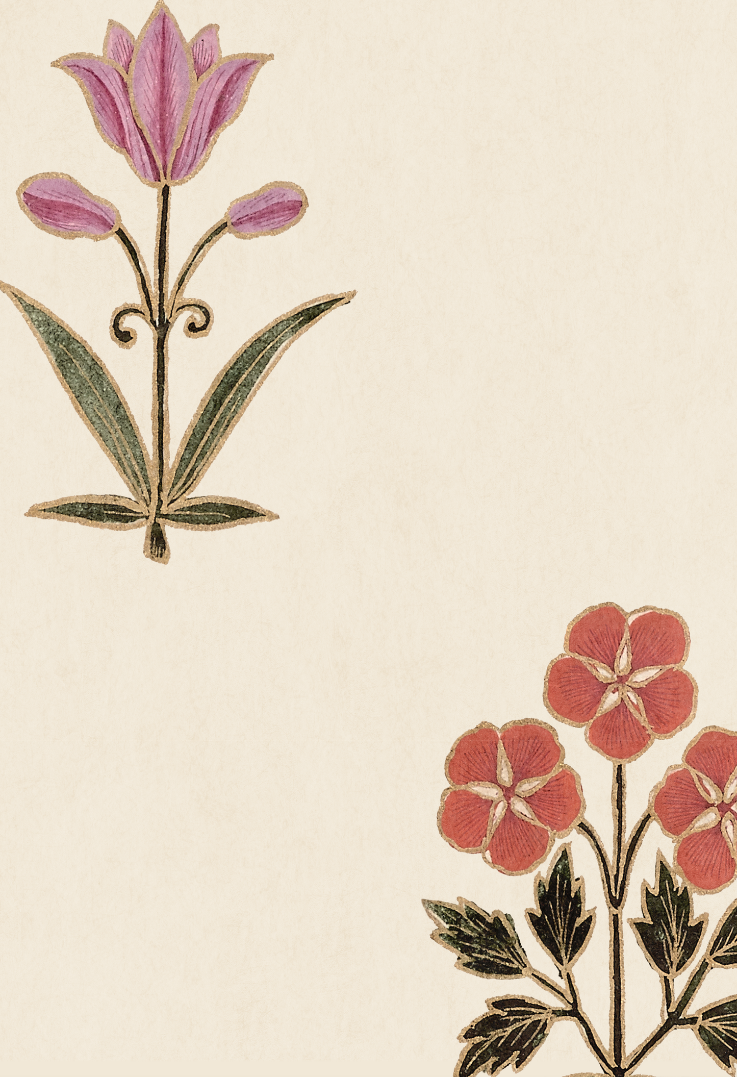 Sultana Wallpaper - Rose