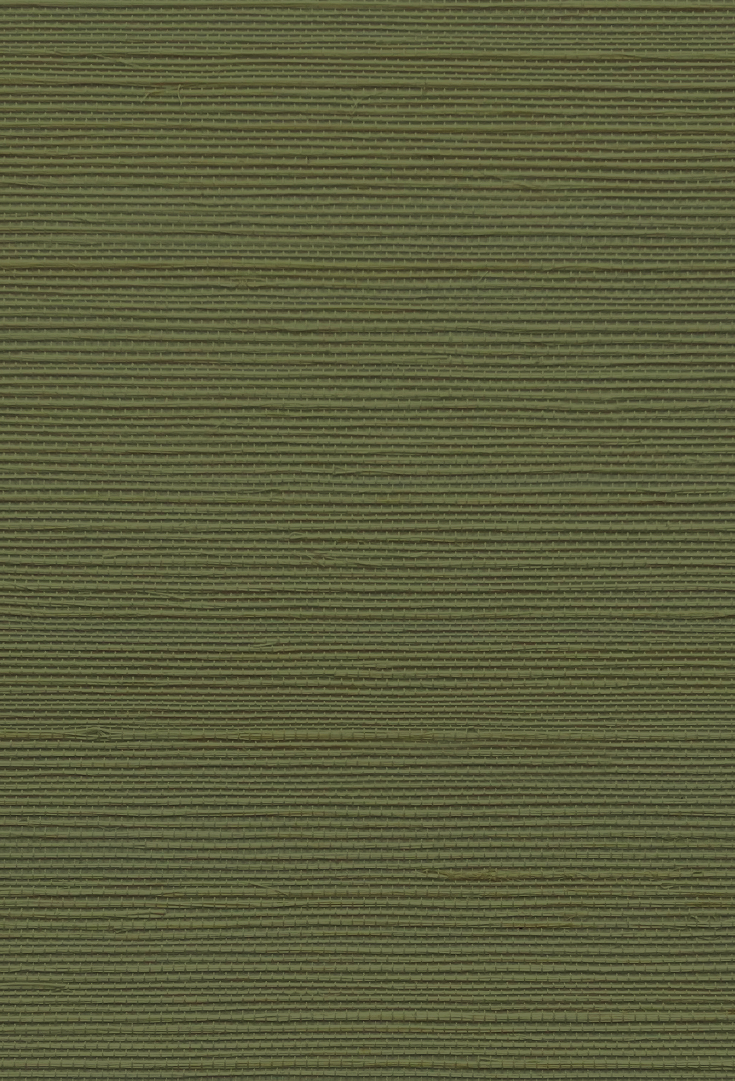 Grasscloth Wallpaper - Treetop Green