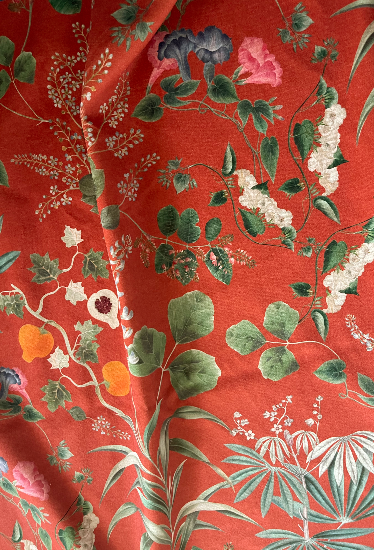 Little Eden Velvet Fabric - Marigold