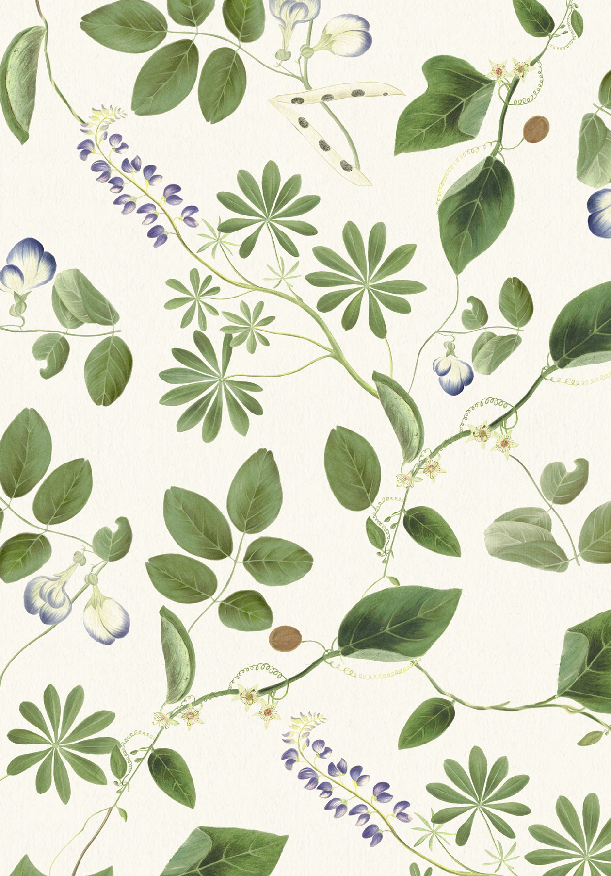 Meadowlane Wallpaper - Ivory
