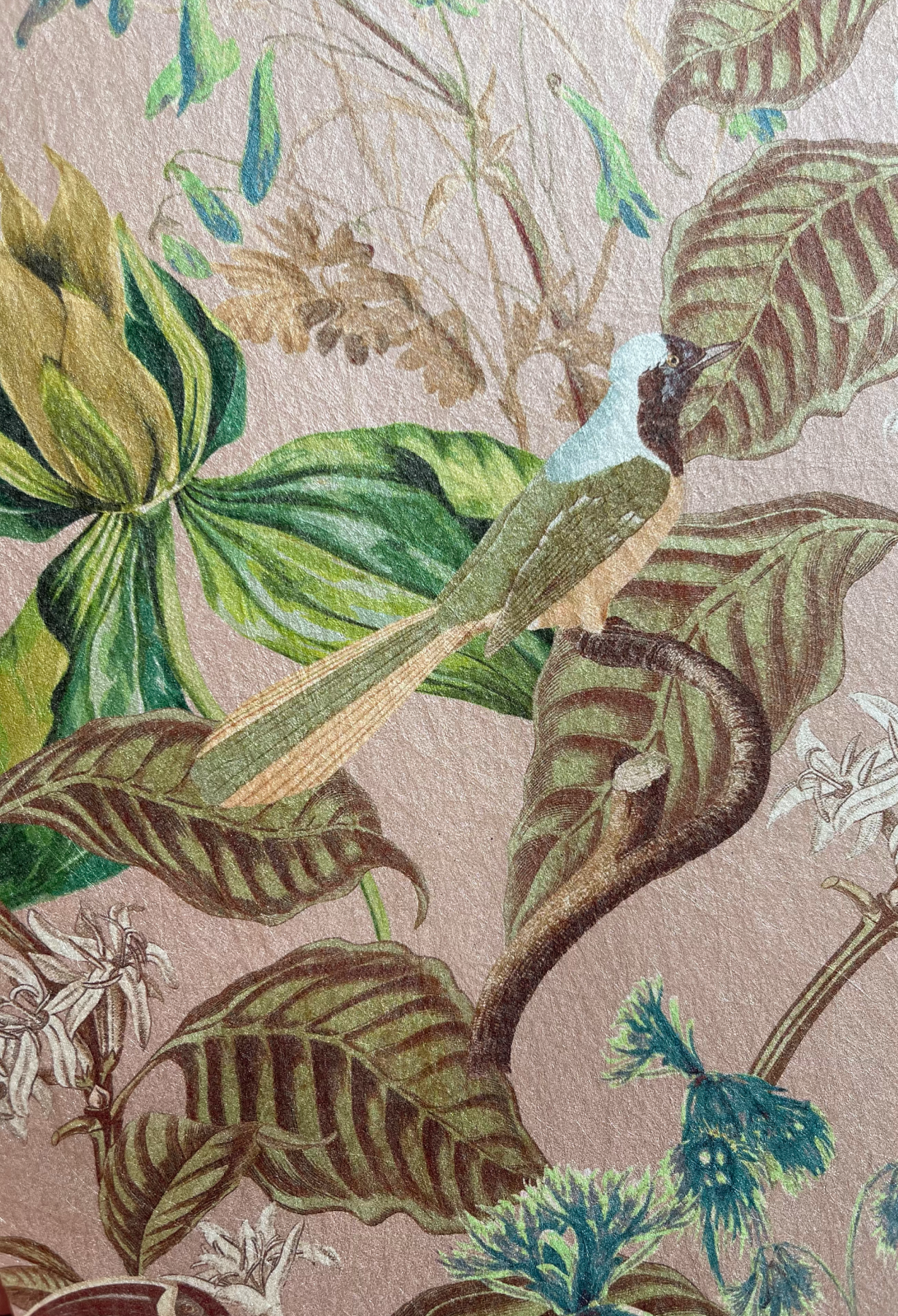 An image of  luxurious Deus ex Gardenia Aviary Wallpaper in Cinder Rose pink featuring a bird perched on a leafy branch.