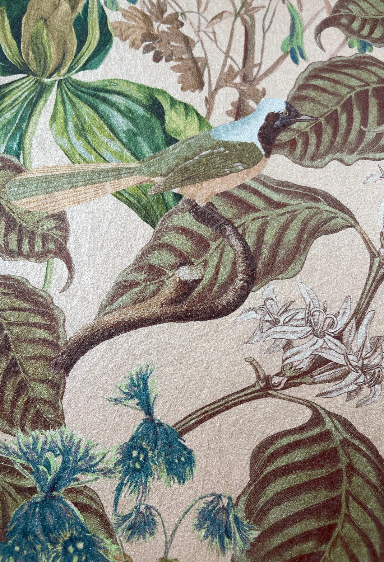 A luxurious close up of Aviary Wallpaper in Ecru, by Deus ex Gardenia, featuring a botanical pattern of leaves and flowers.