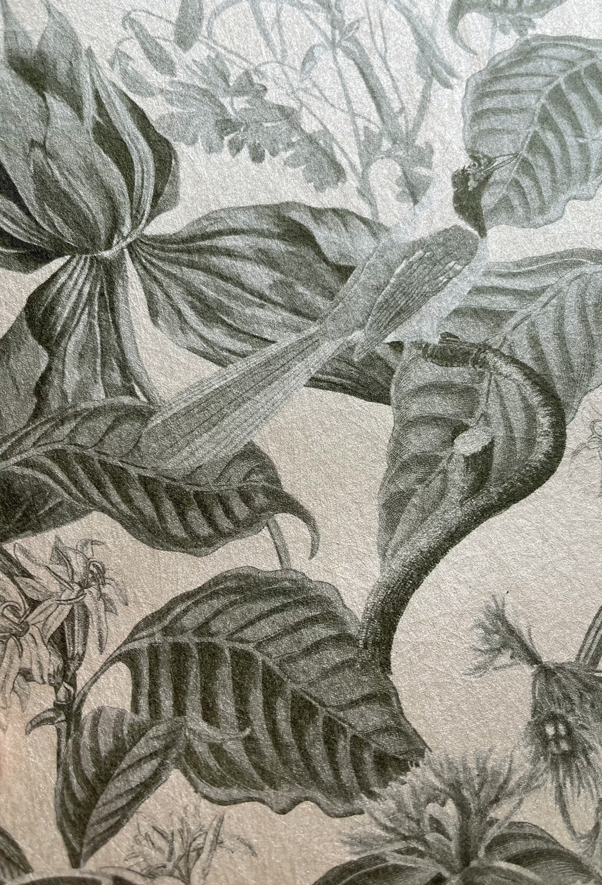 Grey textured Aviary Isle wallpaper by Deus ex Gardenia in French Gray.
