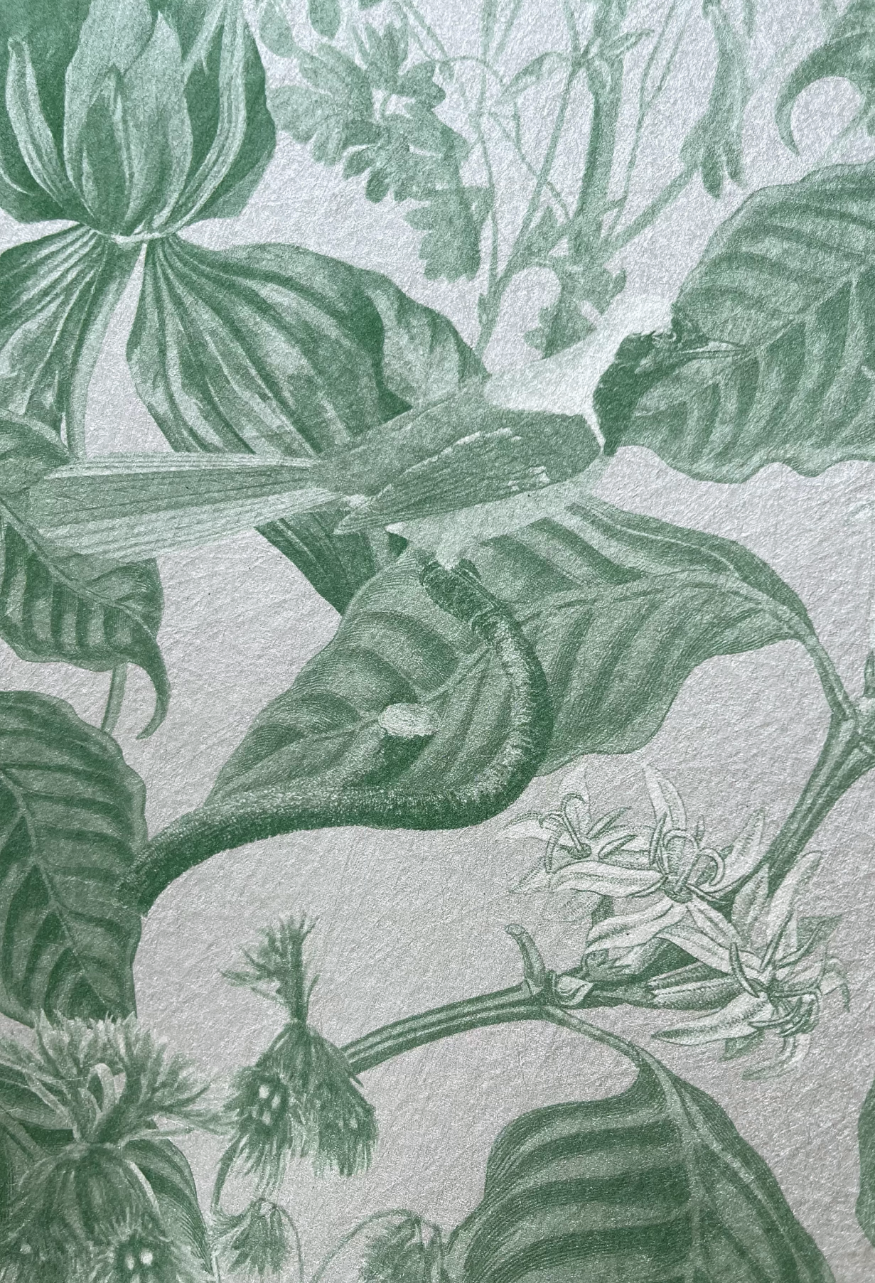 Green wallpaper of Aviary Isle feating a bird on a leaf by Deus ex Gardenia.