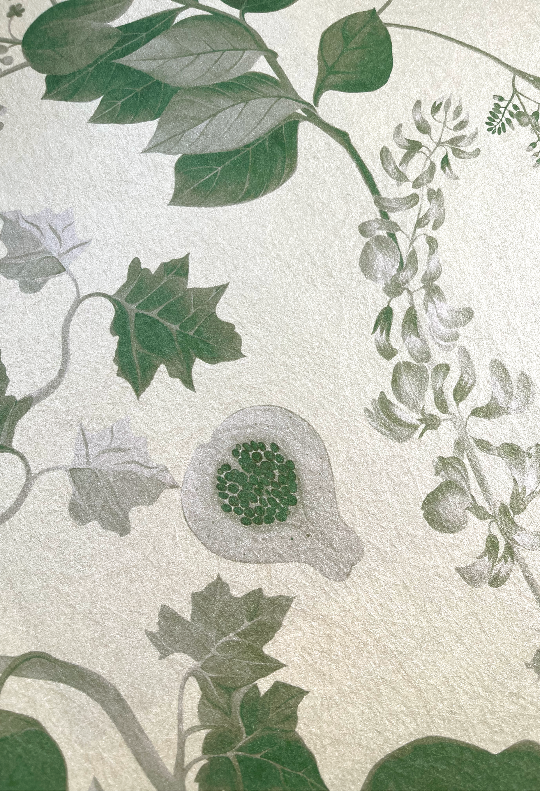 Illustrated fruit with florals and green leaves on luxury wallpaper by Deus ex Gardenia of Eden in Fern.