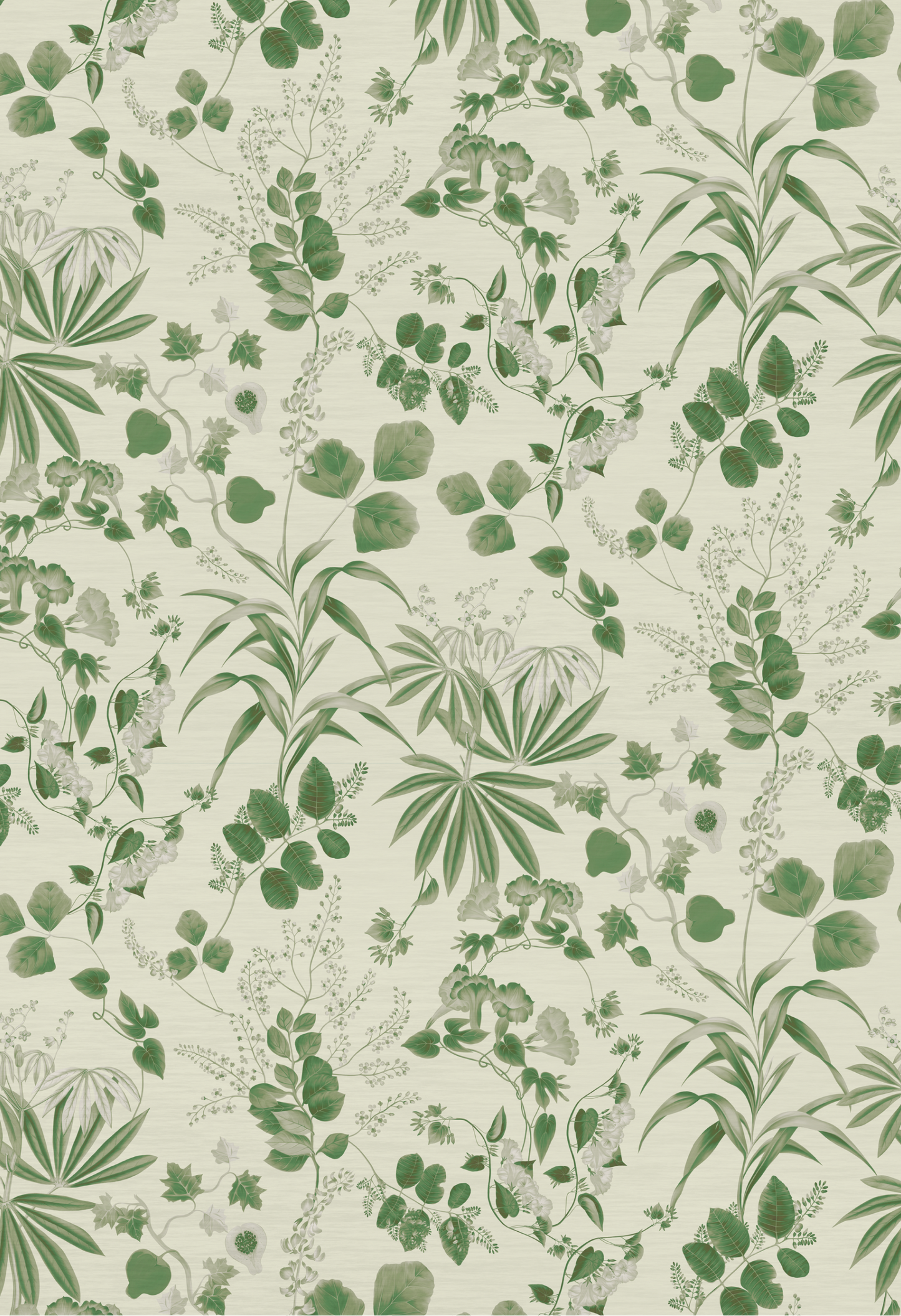 A green botanical pattern of Eden Wallpaper in Fern by Deus ex Gardenia.
