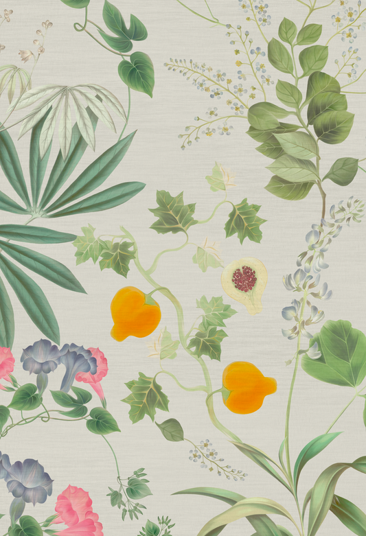 orange fruit with pink flowers and green ferns on white background of Eden Wallpaper in Meadow by Deus ex Gardenia.