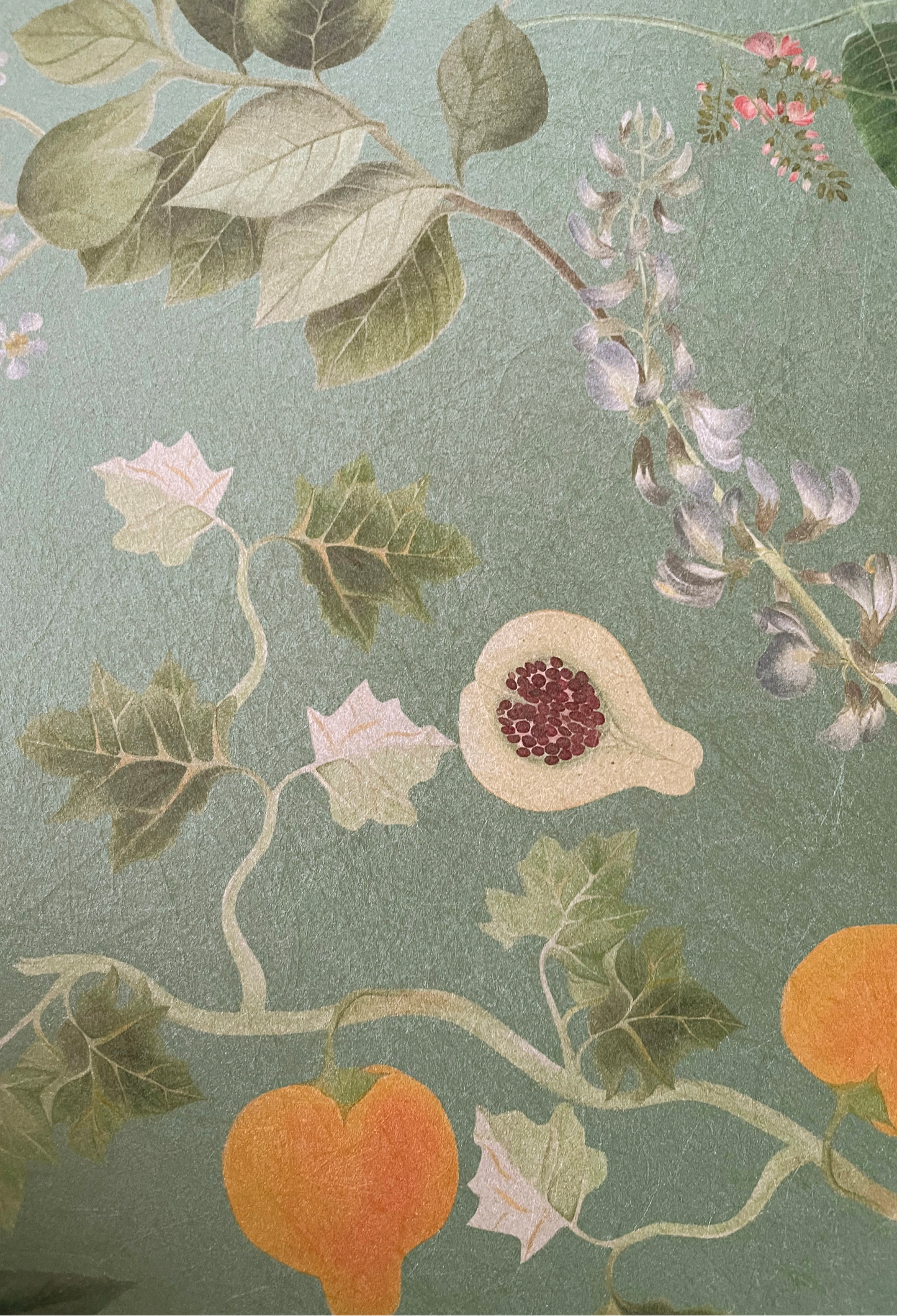 A fruit with leaves on a mint green 'Eden' Wallpaper in Spring by Deus ex Gardenia.