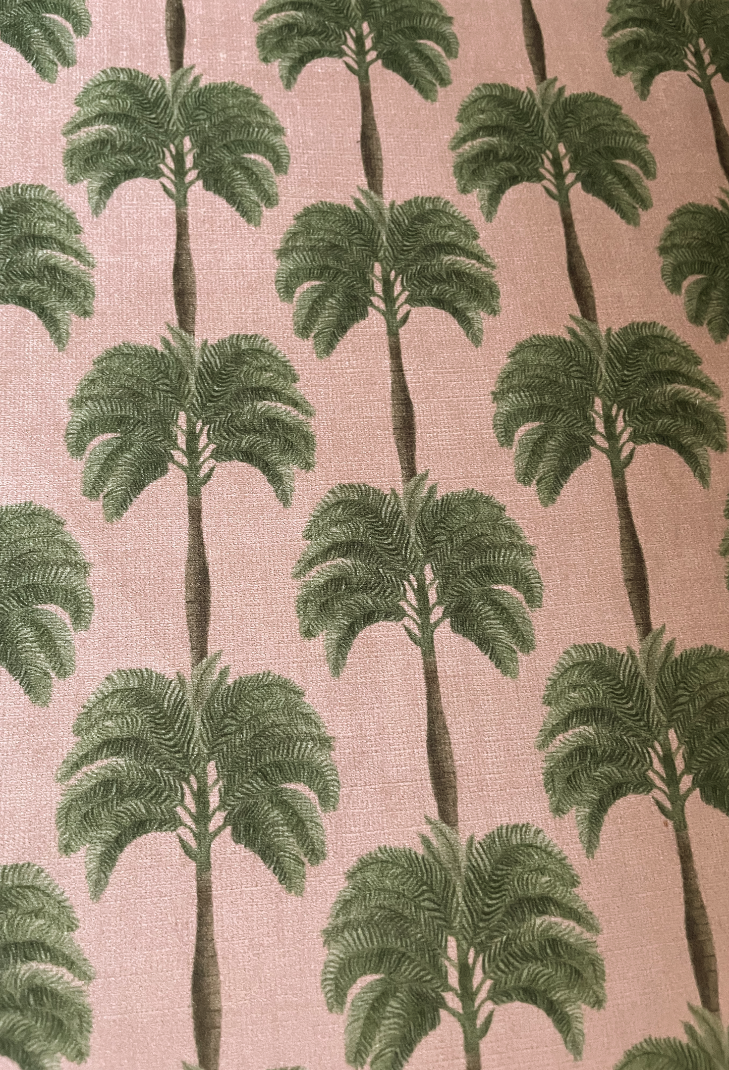 Little Palma Velvet Fabric - Flamingo