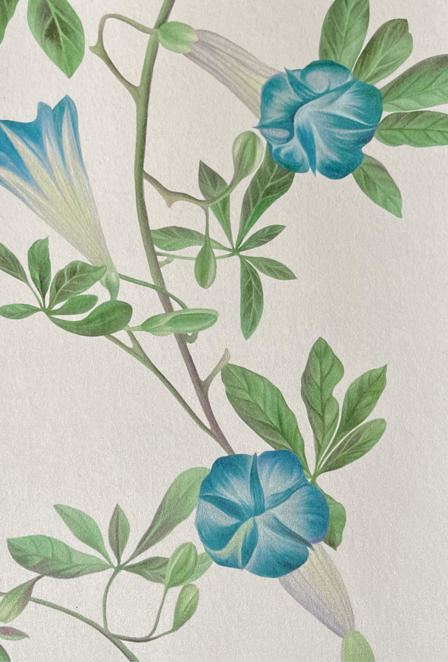 Close up of Deus ex Gardenia's Midsummer in Linen Wallpaper in luxury textured paper.