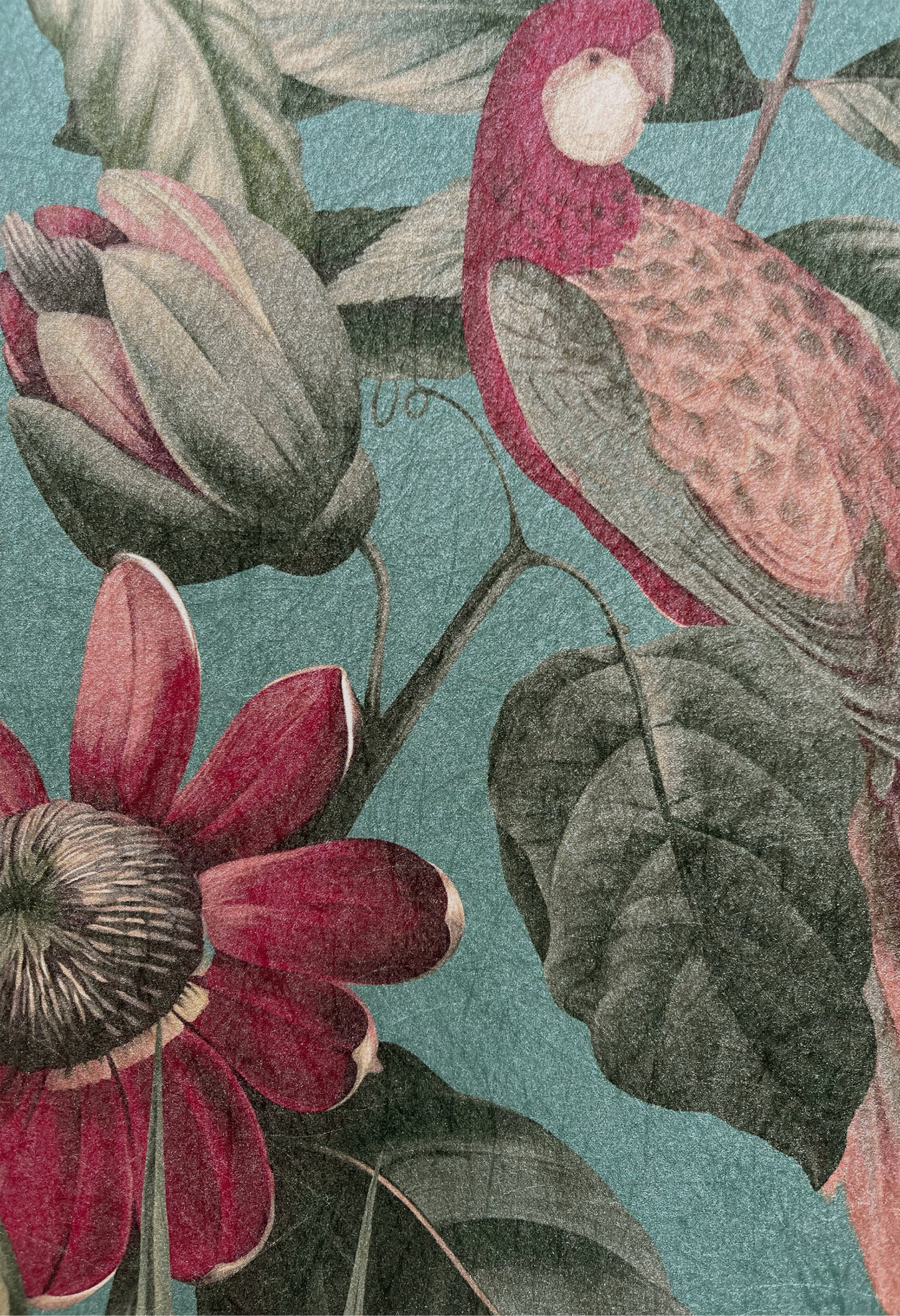 Close up of Deus ex Gardenia's Passiflora Superwide Wallpaper in Vardo on a textured ground with a bird and flower.