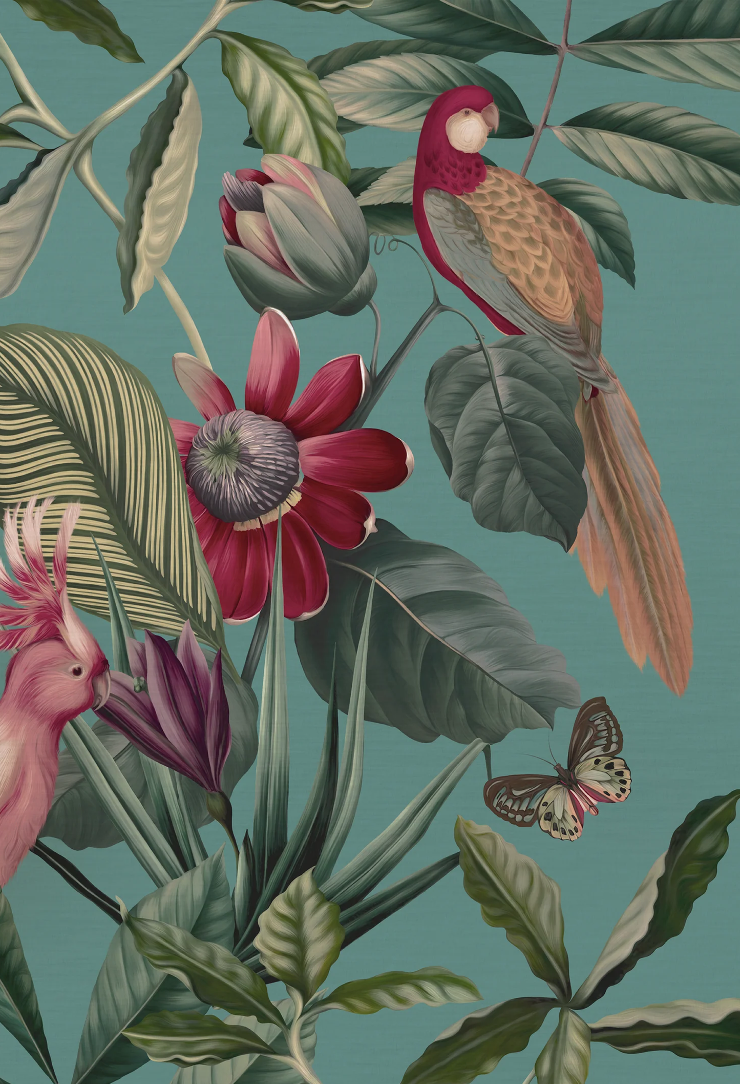 Passion fruit flower with parrot, cockatoo and butterfly surrounded by a canopy on a blue background wallpaper from Deus Ex Gardenia in Passiflora's Vardo in Superwide. 