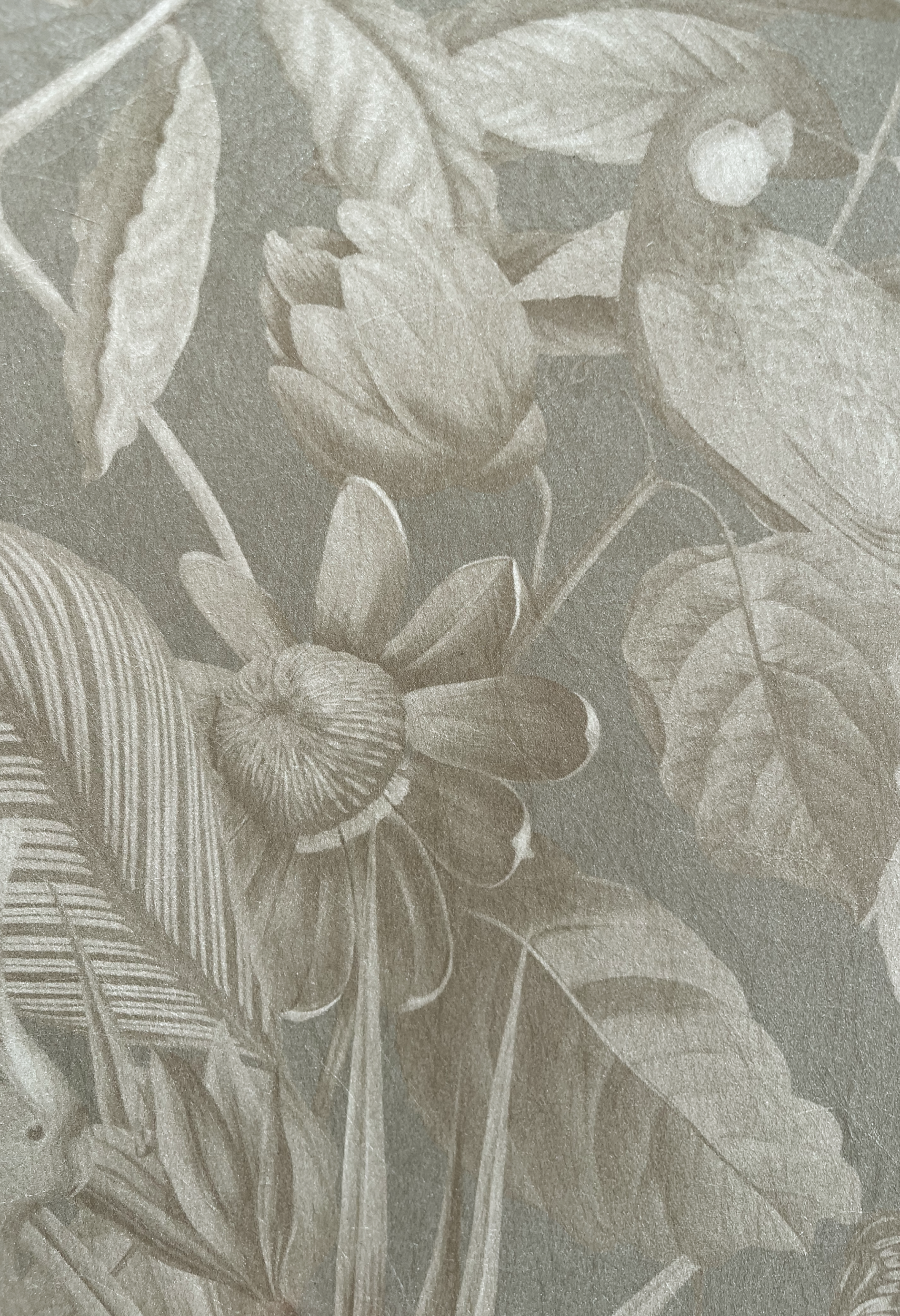 Close up of tropical 'Passiflora' textured wallpaper in Ammonite grey from Deus ex Gardenia.