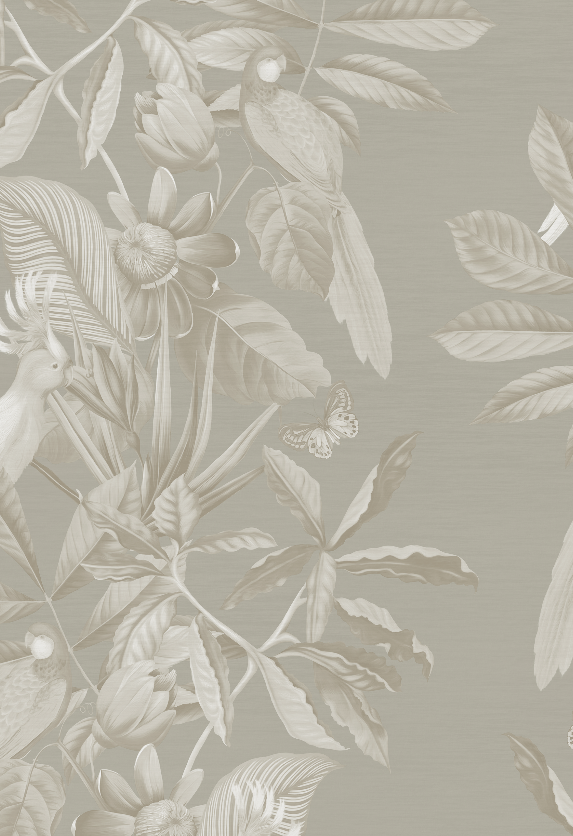 Tropical luxury grey wallpaper of birds, flowers and leaves by Deus ex Gardenia of Passiflora in Ammonite.