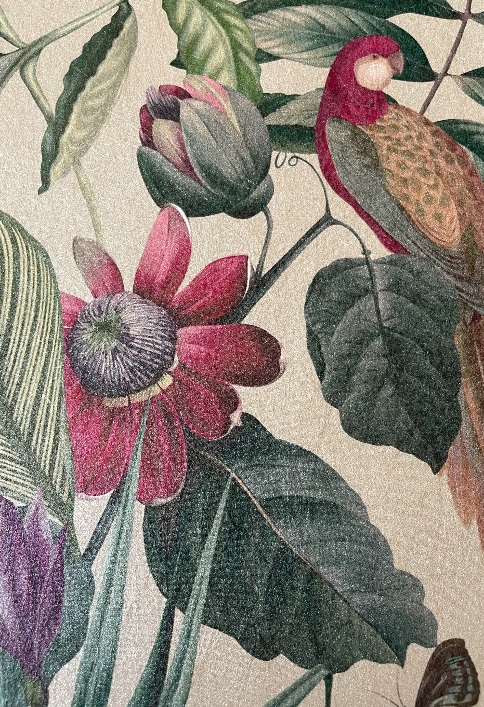 Close up of tropical bird with passion flower and leaves from Deus ex Gardenia's Passiflora in Antique on textured paper.