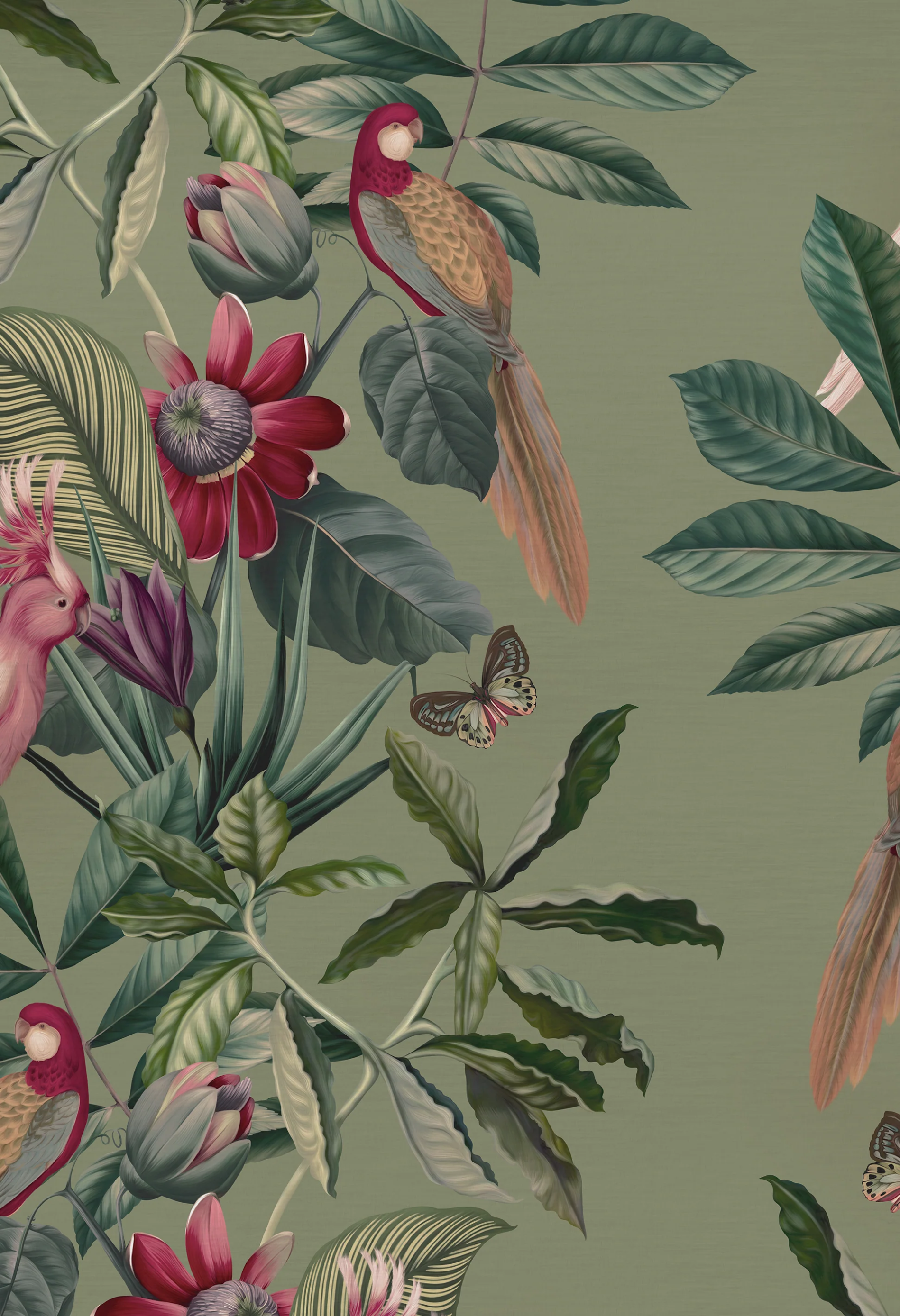 Illustration of birds tropical flowers and leaves by Deus ex Gardenia's Passiflora in Sage wallpaper.