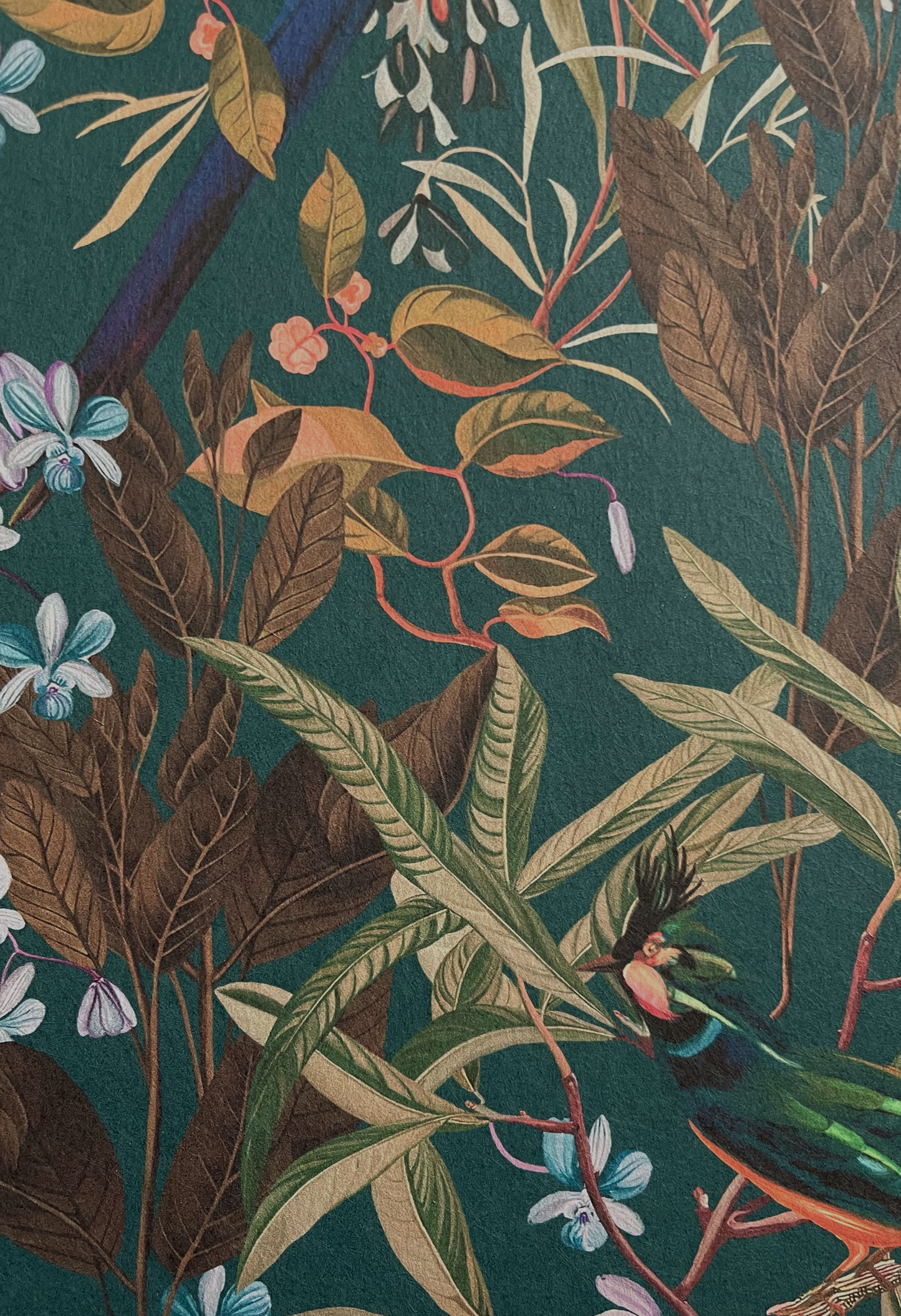 close up of botanical leaves, flowers and a tropical bird on green dark background by Deus ex Gardenia of Resplendent Woods textured Wallpaper in Forest.