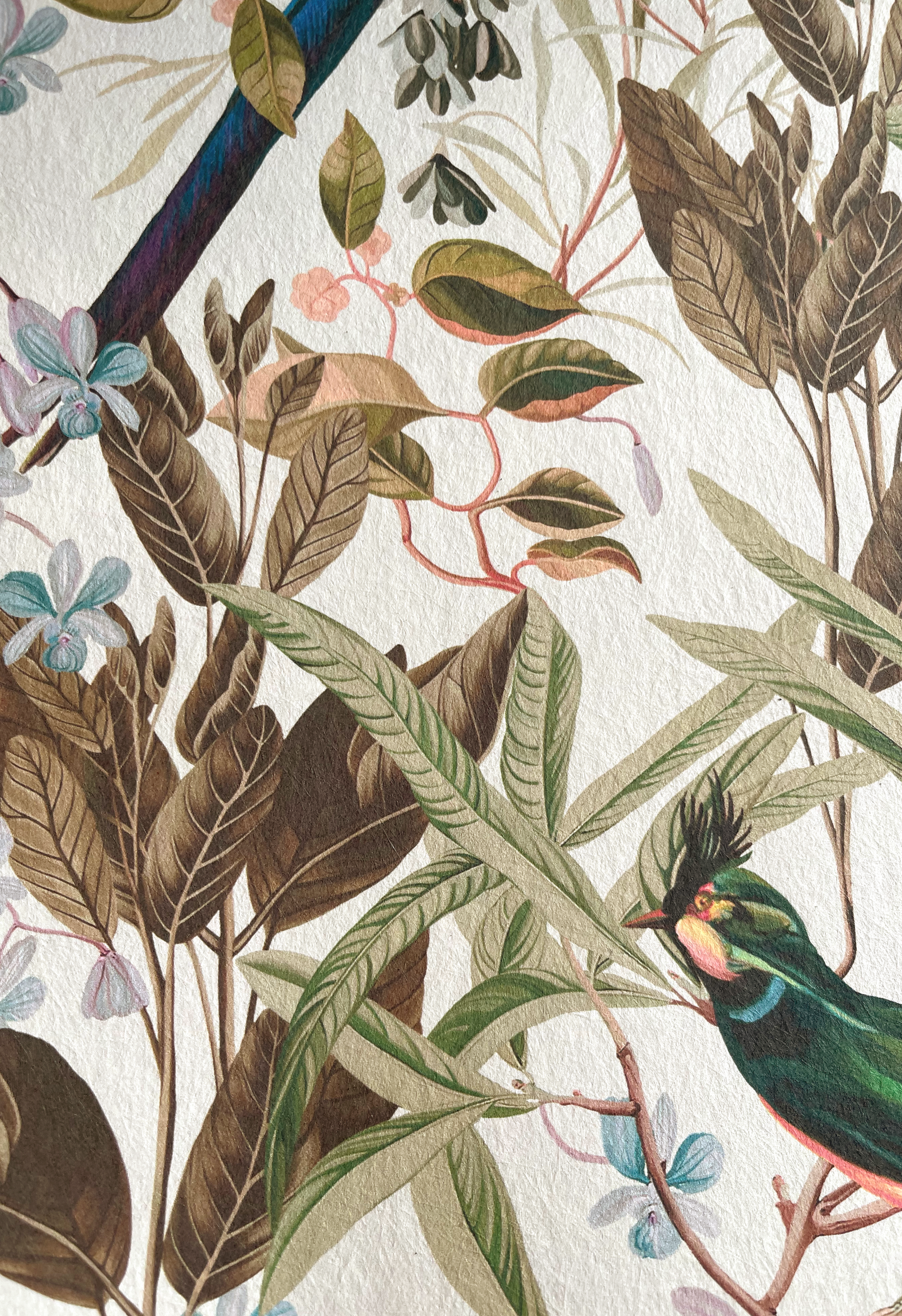 Close up of textured illustration of a birds surrounded by leaves and flowers by Deus ex Gardenia of Resplendent Woods Wallpaper in Shaded White. 