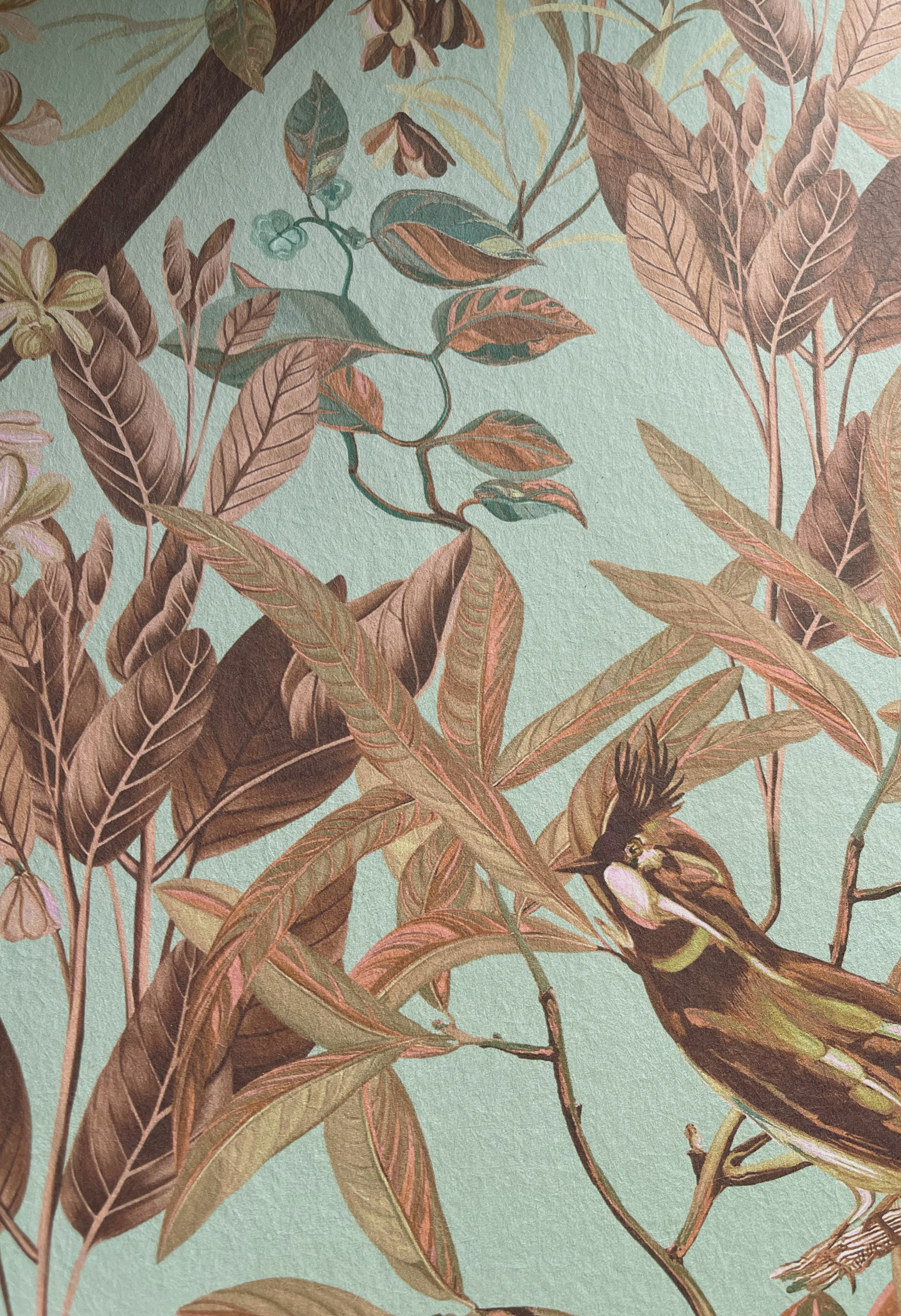 Close up a bird surrounded by painterly botanical leaves by Deus ex Gardenia of Resplendent Woods Wallpaper in Teal. 