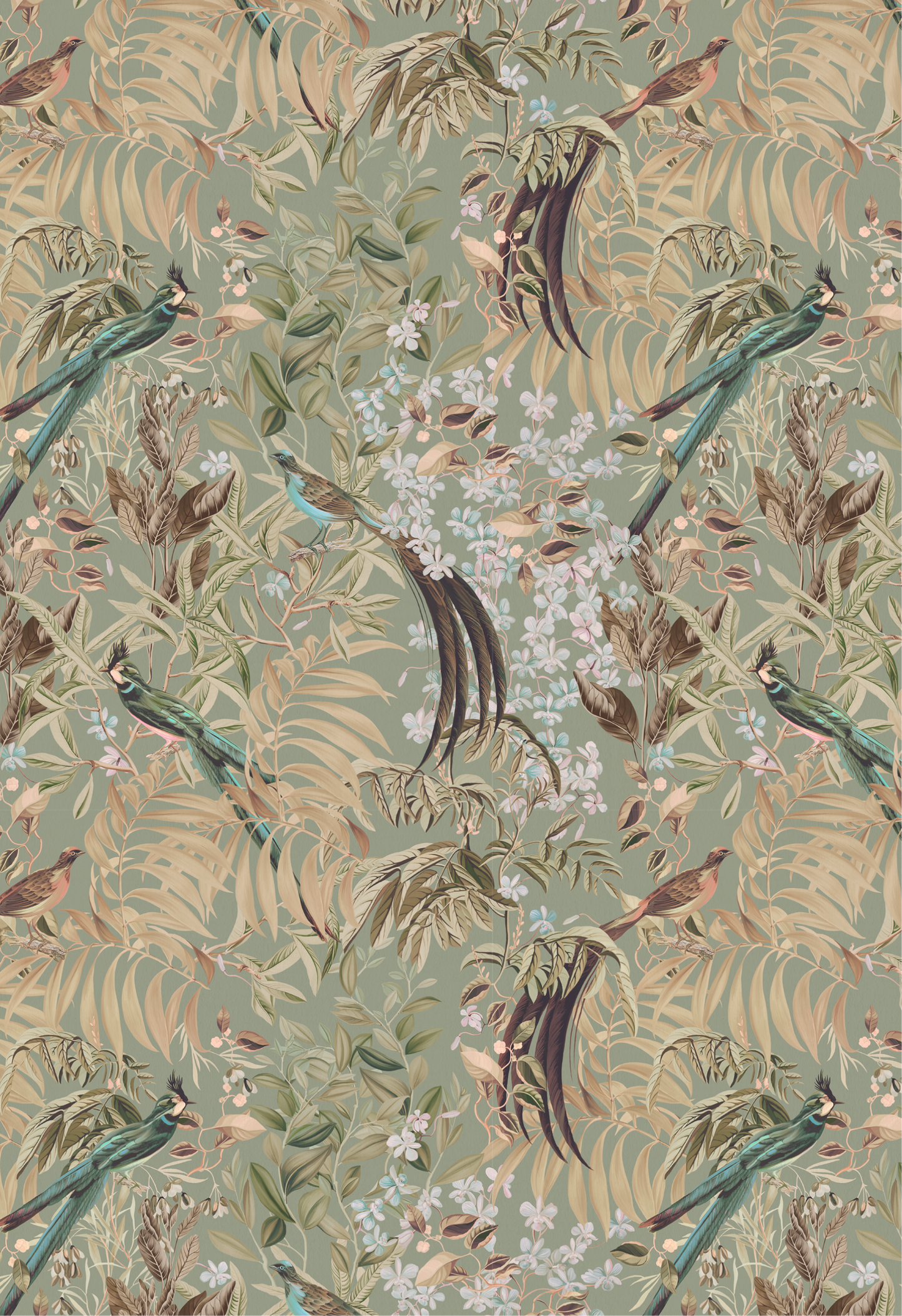 Botanical painted birds with orchids and leafy palms on light green background by Deus ex Gardenia of Resplendent Woods Wallpaper in Willow. 
