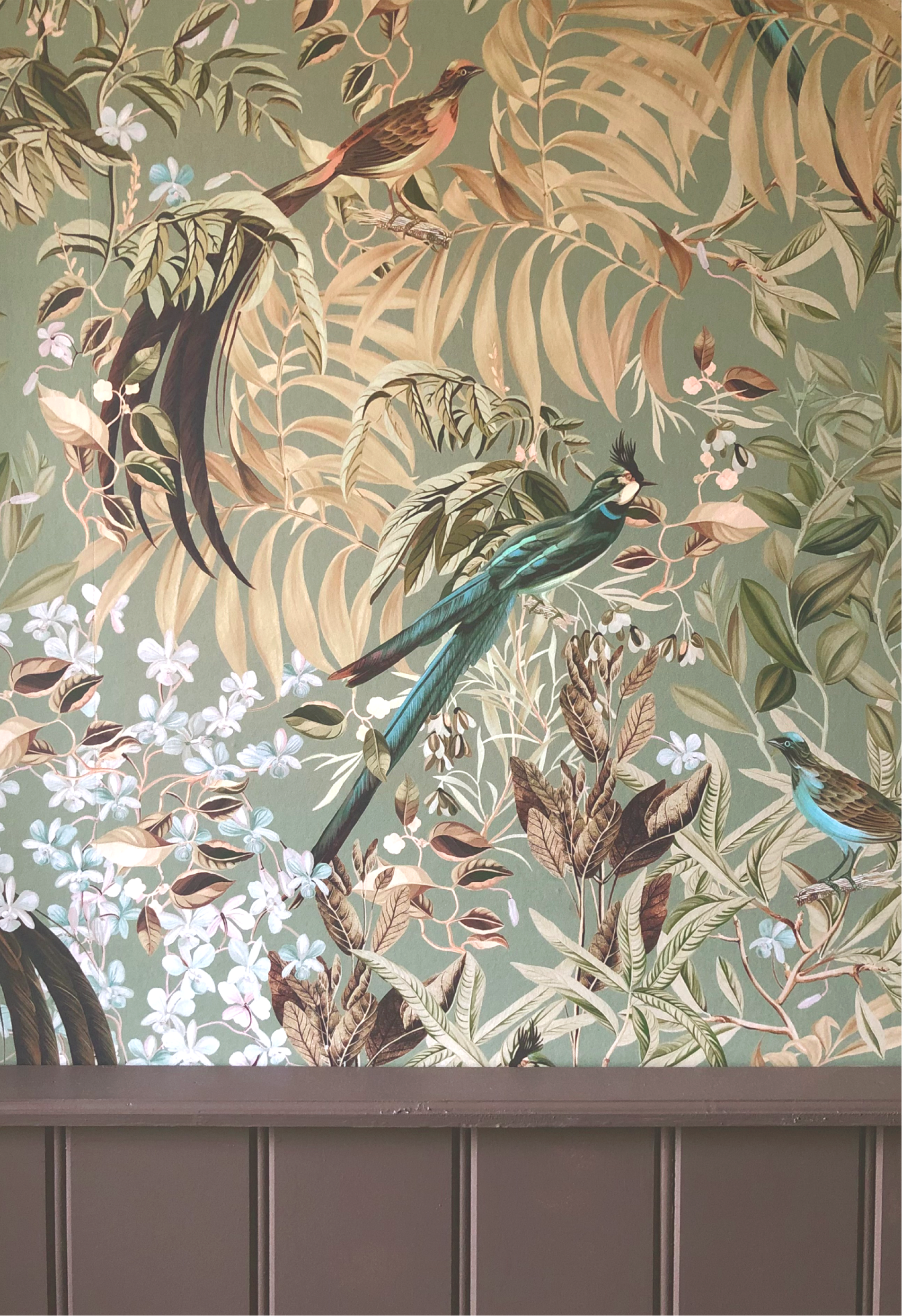 Botanical design of birds and flowers in a forest of leaves in a room with wooden painted panelling by Deus ex Gardenia of Resplendent Woods Wallpaper in 'Willow' light green. 