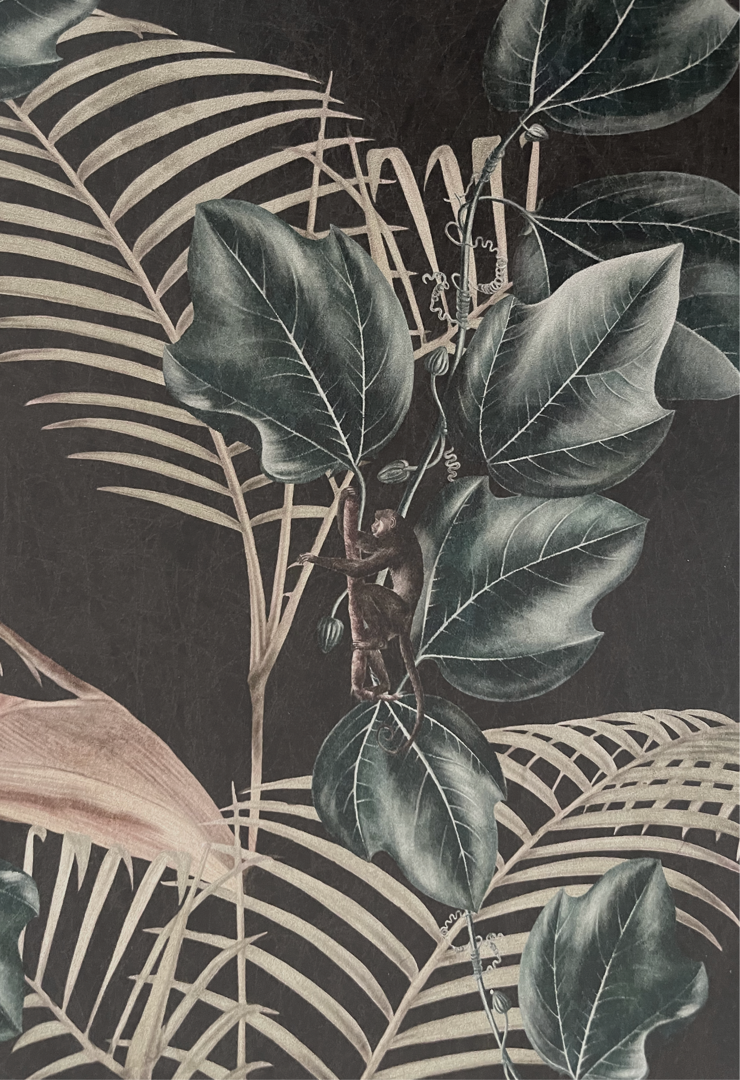 Close of little spider monkey on dark background with Ivy and palms on textures 'Wild Ivy' Wallpaper in Dusk by Deus ex Gardenia.