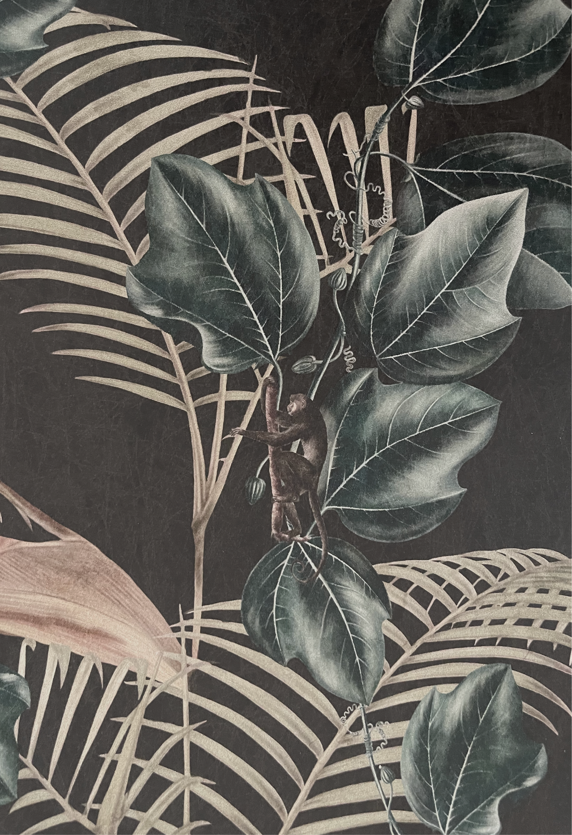 Close of little spider monkey on dark background with Ivy and palms on textures 'Wild Ivy' Wallpaper in Dusk by Deus ex Gardenia.