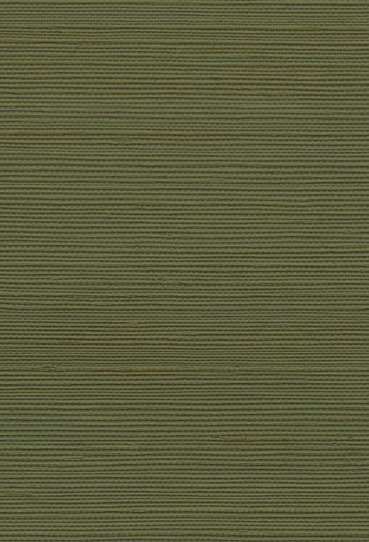 Grasscloth Wallpaper - Treetop Green