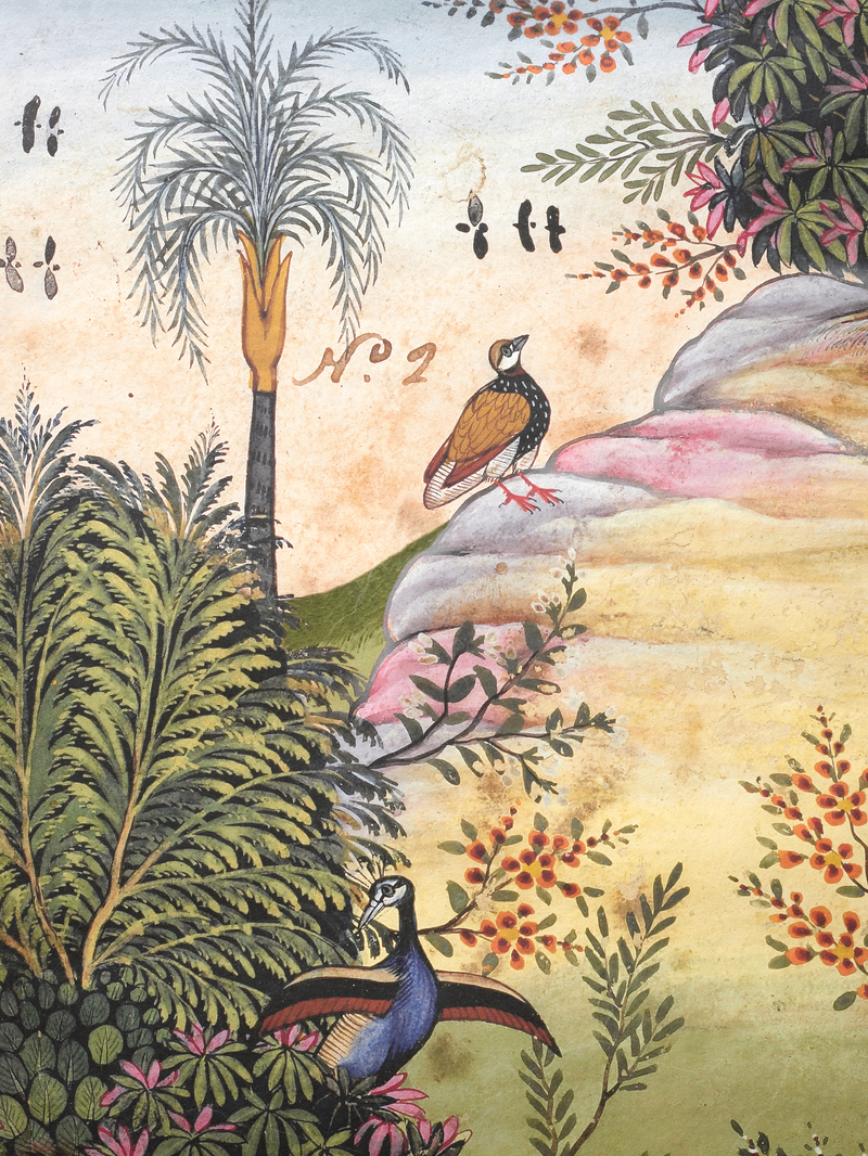 Mayura Valley Wallpaper Mural