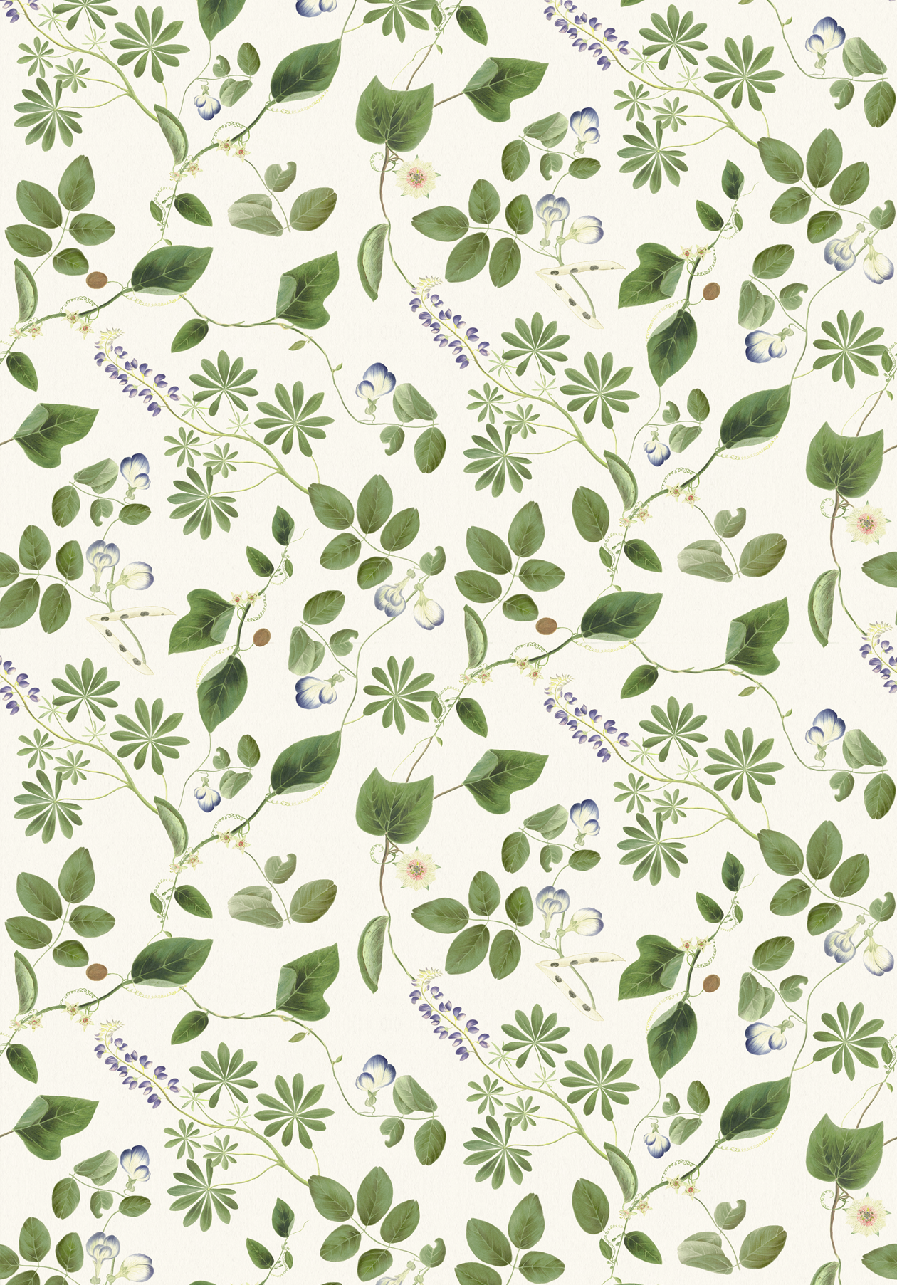 Meadowlane Wallpaper - Ivory