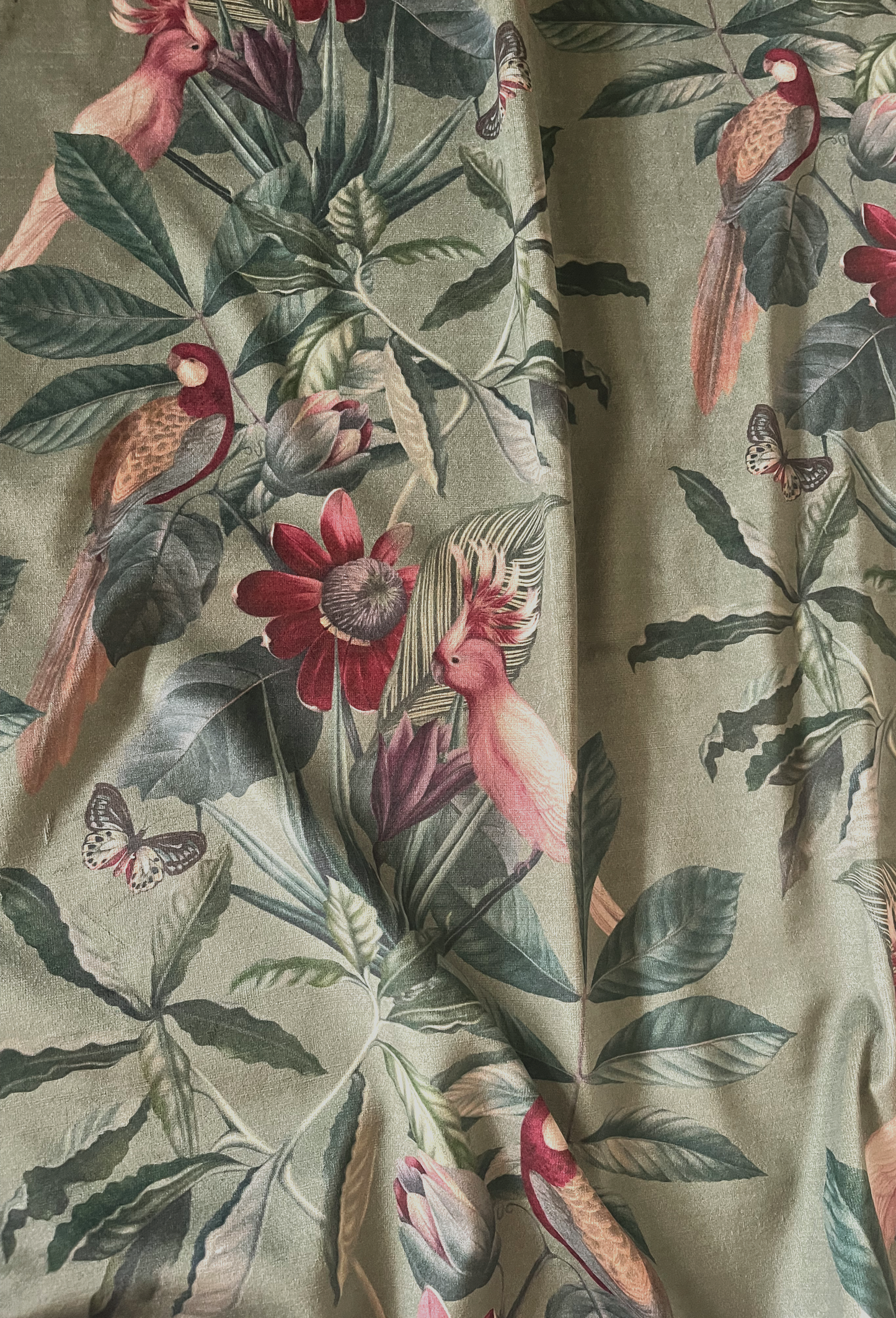 Passiflora Velvet Fabric - Sage